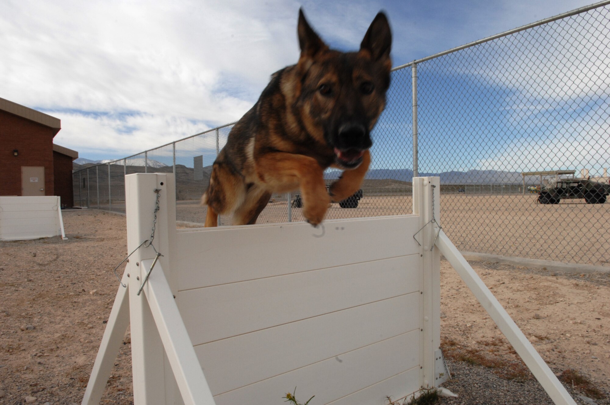 NELLIS AIR FORCE BASE, Nev. -- Elza, a military working dog assigned to the 99th Security Forces Squadron here, jumps over a wall at the 99th Security Forces Ground Combat Training Squadrons Military Working Dog compound March 28 Creech AFB, Nev. The 99th GCTS MWD element is currently building a new 1.47 million dollar, 4,300 square foot kennel facility to house 14 military working dogs. Once completed, the facility will become the second largest in the Air Force and will train 150 to 175 working dogs and handlers for deployment per year.
(U.S. Air Force Photo by Senior Airman Larry E. Reid Jr.)

