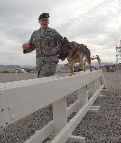 NELLIS AIR FORCE BASE, Nev. -- Senior Airman Amber Leamaster, a military working dog handler with the 99th Security Forces Squadron here, runs through the obstacle course with her working dog Elza at the 99th Security Forces Ground Combat Training Squadrons Military Working Dog compound March 28 Creech AFB, Nev. The 99th GCTS MWD element is currently building a new 1.47 million dollar, 4,300 square foot kennel facility to house 14 military working dogs. Once completed, the facility will become the second largest in the Air Force and will train 150 to 175 working dogs and handlers for deployment per year.
(U.S. Air Force Photo by Senior Airman Larry E. Reid Jr.)
