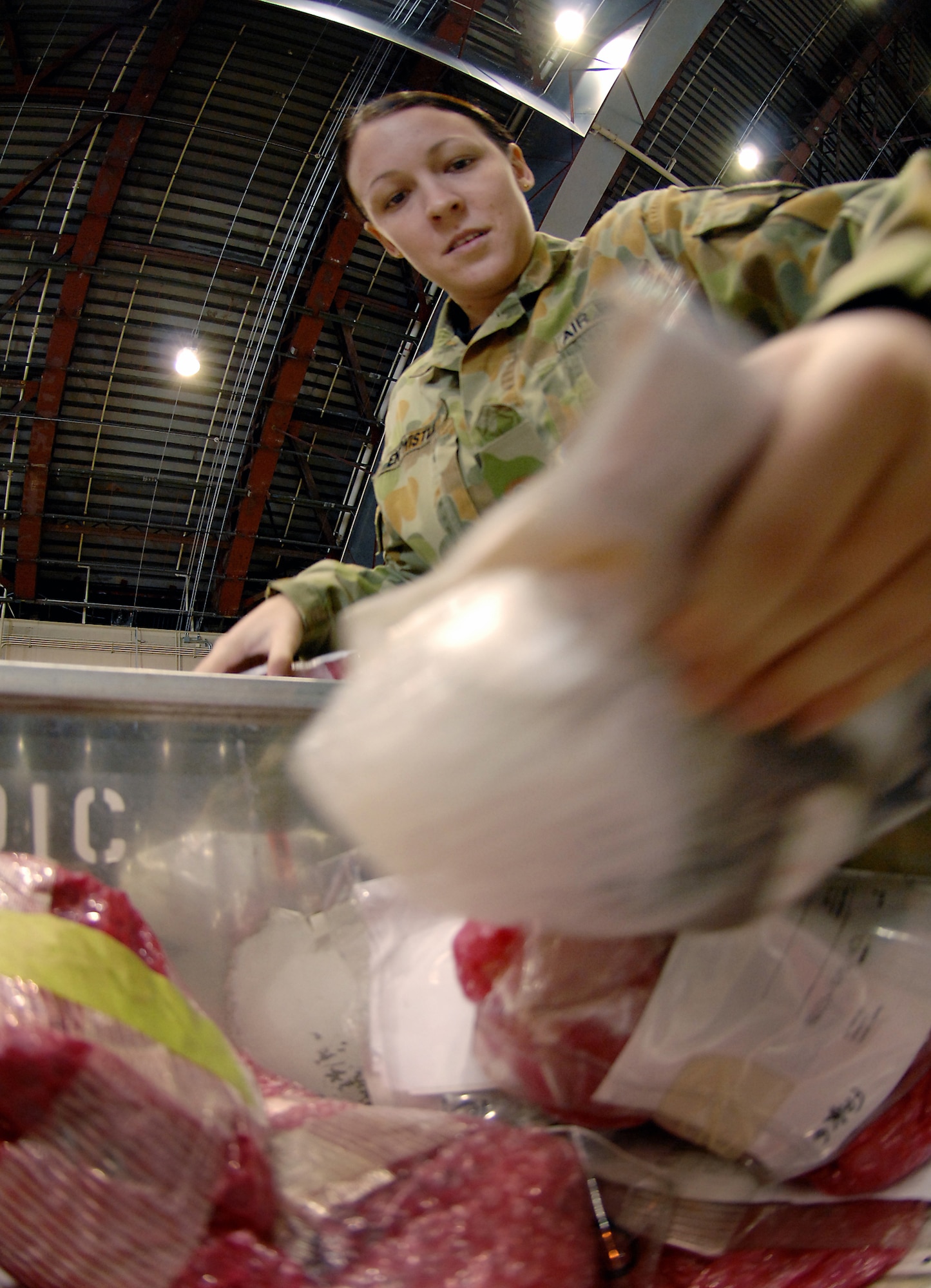 Royal Australian air force's Number 75th Squadron Leading Aircraftwoman Trish Entwistle searches through a flyaway kit for aircraft parts needed for pre-flight maintenance on the Australian F/A-18 Hornet jets on April 7, 2008, at Eielson Air Force Base, Alaska. The RAAF's Number 75th Squadron's logistics personnel are participants in RED FLAG-Alaska 08-2 exercise. RED FLAG-Alaska is a series of Pacific Air Forces field training exercises for U.S Forces and allies that provide joint offensive counter-air, indirection, close air support, and large force employment training in a simulated combat environment.

(U.S Air Force Photo by Technical Sgt. Eric T. Sheler)
