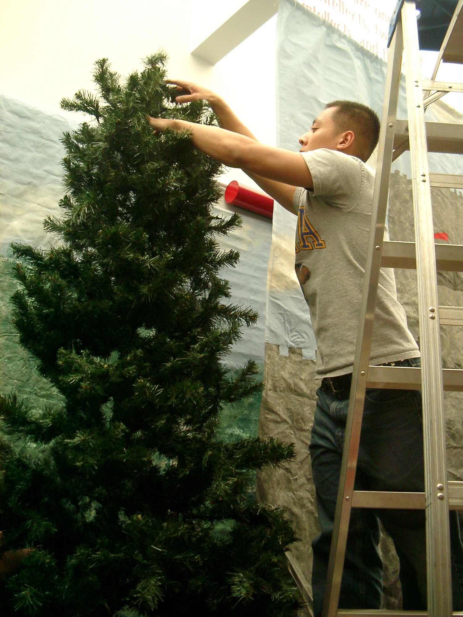 CANNON AIR FORCE BASE, N.M. -- Capt. Thien Nguyen, 27th Special Operations Medical Support Squadron, adds branches to a tree that will be one of the decorations at Mesa Elementary School's Renaissance Fair. Captain Thien is one of 14 volunteers from Cannon's Company Grade Officer's Council who assisted school volunteers with decorating on April 5. (Air Force photo by Capt. Mae-Li Allison)