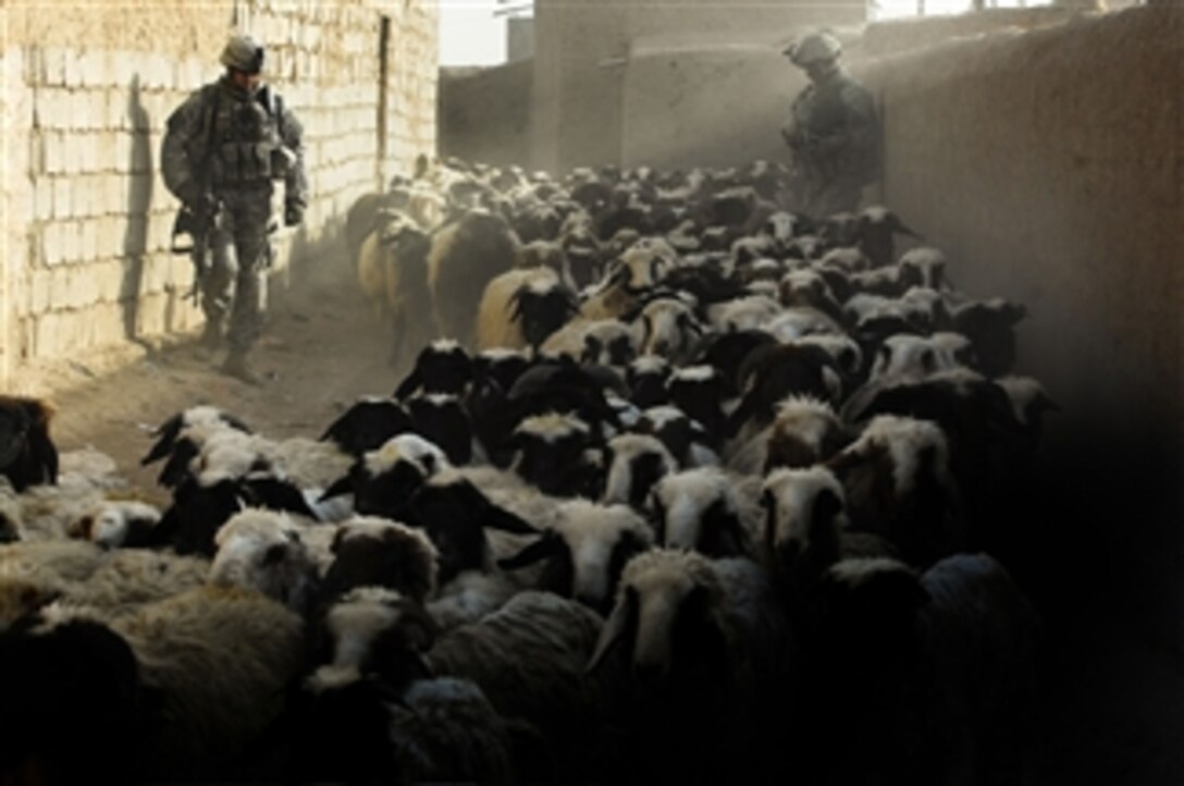 U.S. Army soldiers watch as a flock of sheep moves past them during a cordon and search mission for high value insurgents in Upper Dugmut, Iraq, on April 3, 2008.  The soldiers are attached to 3rd Platoon, Delta Company, 2nd Battalion, 22nd Infantry Regiment, 1st Brigade Combat Team, 10th Mountain Division.  