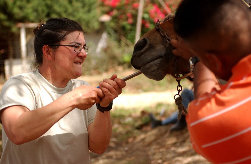 LAGUNA DEL RINCON, Honduras -  Lt. Col. Shannon L. Sutherland files down points on the molar teeth of a horse. Veterinarians, like Colonel Sutherland, provide basic medical and dental care to dogs, cats and livestock during daylong visits to this and other remote Honduran villages. U.S. military medical personnel are in Honduras for the joint training exercise Beyond the Horizon. The event provides medical attention, as well as infrastructure renovation, to rural areas in this Central American country. (Photo by Sgt. Claude W. Flowers, 304th Public Affairs Detachment.)