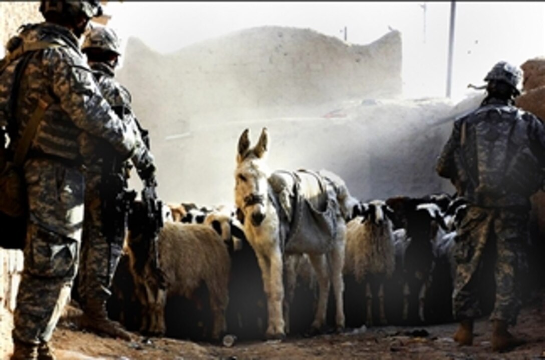 U.S. soldiers are greeted by a donkey leading a herd of sheep during a cordon and search for high-value insurgents in Upper Dugmut Village, Kirkuk province, Iraq, April 3, 2008. The soldiers are assigned to the 10th Mountain Division's Company D, 2nd Battalion, 22nd Infantry Regiment. 
