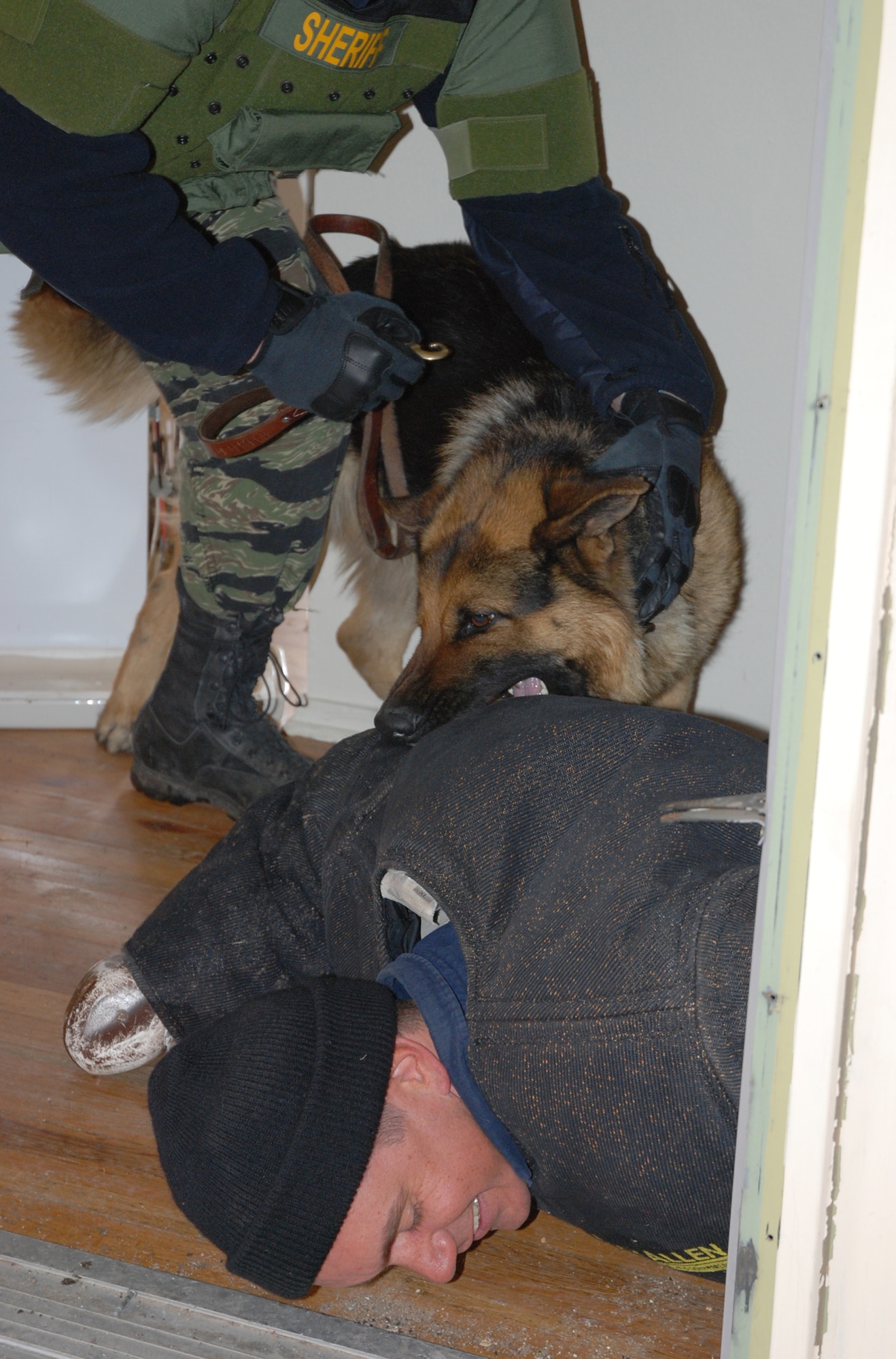 Jeff Annis, a deputy sheriff for Logan County (back), and his partner, 3-year old Mueller take down a simulated suspect April 11 in the U.S. Air Force Academy base housing complex. Sheriff Annis, together with several other agencies around the Colorado Springs area, participated in canine Special Weapons and Tactics, or ‘SWAT’ training to better understand the use of civilian and military working dogs during a tactical engagement with criminal or unfriendly forces. (U.S. Air Force photo/Senior Airman Stephen Collier)