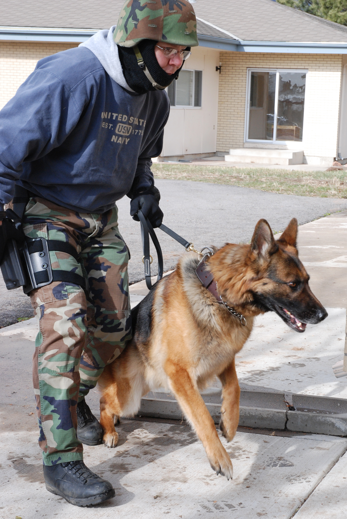 Swat k9 hot sale unit