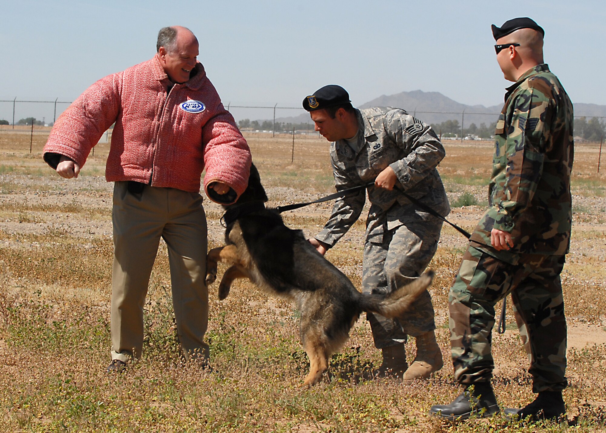 Bill Brewer, city of Glendale materials manager and honorary commander with the 56th Contracting Squadron, is attacked by Rex, the 56th Security Forces Squadron military working dog, after resisting Staff Sgt. Gabriel Bravo, holding the dog, and Staff Sgt. Mark Quintero, kennelmaster. (U.S. Air Force by SSgt. Jerry Fleshman)