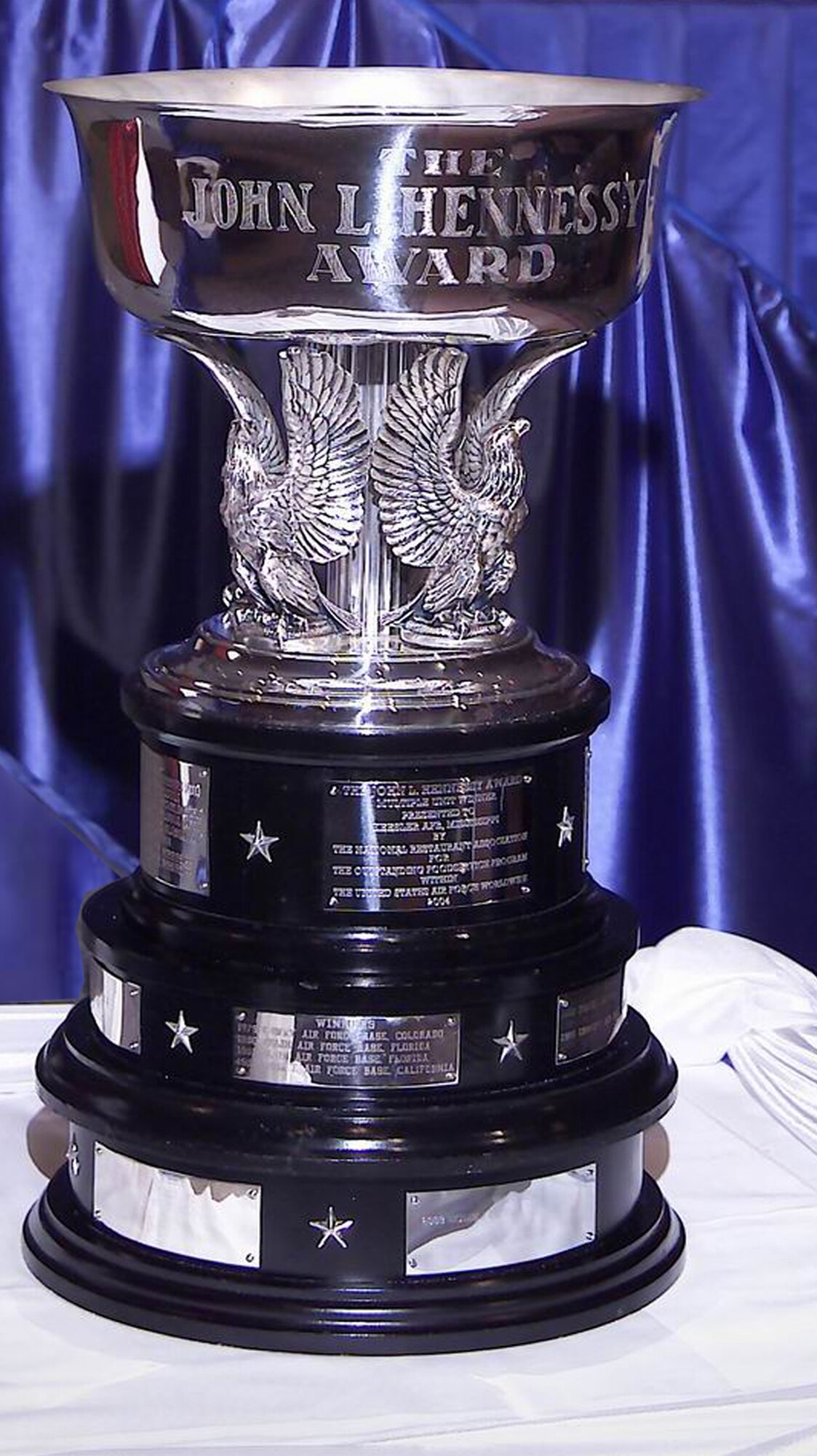 The 366th Services Squadron has owned the John L. Hennessy trophy at the Air Combat Command level and this year marks the first time they can also claim the award at the Air Force level, after beating out five other major command finalists. The John L. Hennessy trophy is an annual award presented to the Air Force installation, in single- and multiple-facility categories, with the best food service program in the Air Force. The award is sponsored by the National Restaurant Association. This is the 52nd year for the single- and multiple-facility category competition. A team will be chosen to travel to Chicago to accept the John L. Hennessy trophy at the National Restaurant Association Show May 17. (Photo illustration/ Tech. Sgt. Carly Burke)