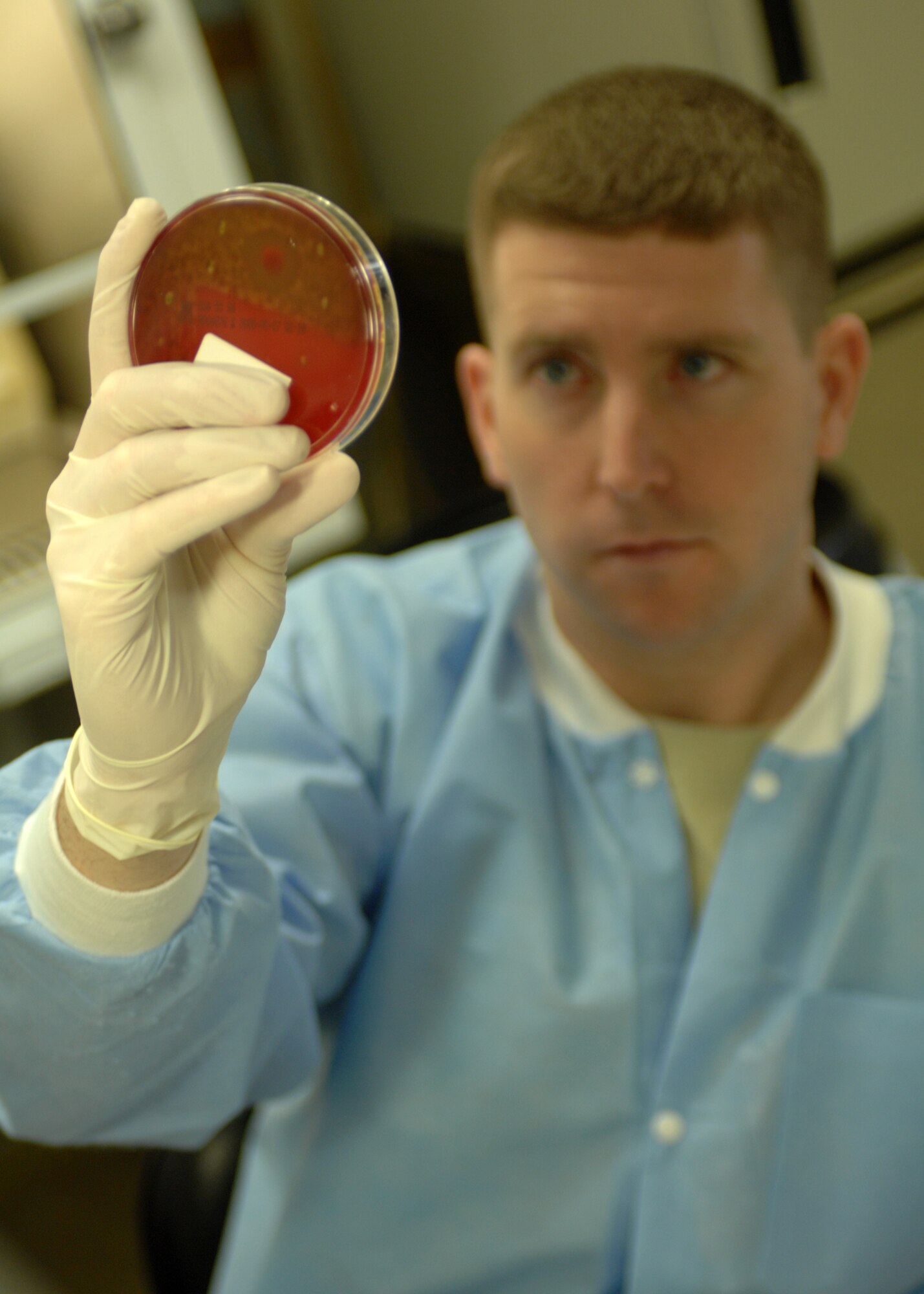 BITBURG AIR BASE, Germany- Senior Airman Justin Hamilton, 52nd Medical Support Squadron, analyzes a bacteria sample the Bitburg Laboratory April 15, 2008. By testing and analyzing different bodily materials, doctors are able to find out much sooner how to help patients. (U.S. Air Force photo/Airman 1st Class Jenifer Calhoun)