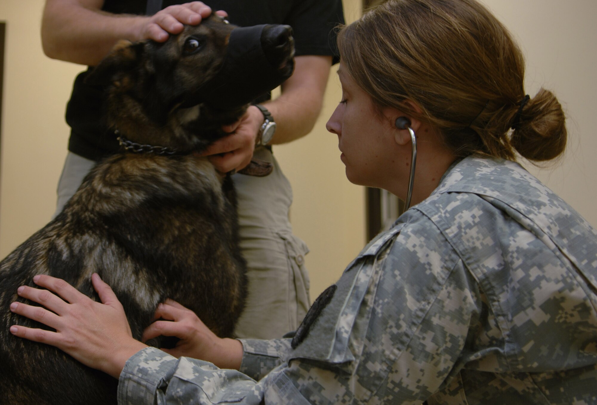 MOODY AIR FORCE BASE, Ga. – U.S. Army Capt. Jennifer Scruggs, Gulf Coast District Veterinary Command vetrinarian, listens to the heart beat of Liza, 23rd Security Forces Squadron working dog here April 22. Liza is being seen for her annual dental exam. (U.S. Air Force photo by Senior Airman Angelita Lawrence)