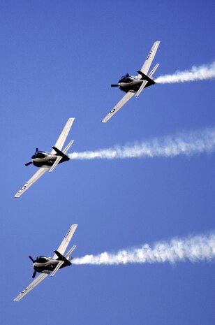 Members of the Trojan Flyers demo team perform during the Holloman Air and Space Expo at Holloman AFB, N.M., Oct. 27, 2007. The T-28 Warbird Dixie Demonstration Team will fly in formation in their vintage 1939 aircraft. There will be four aircraft from the Dixie Wing at the 2008 "Wings Over Charleston" Air Expo.  (U.S. Air Force photo/Staff Sgt. Jason Colbert)