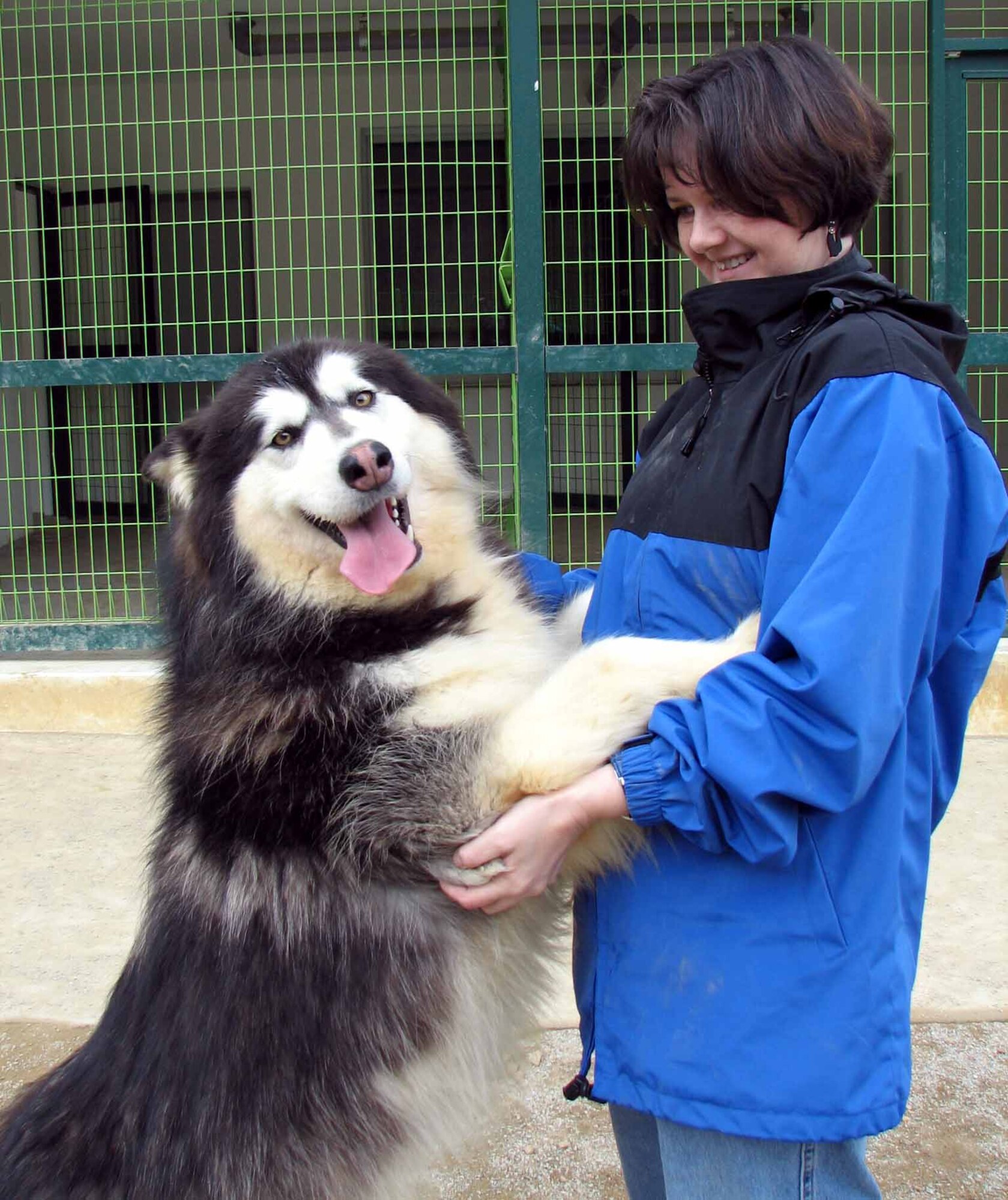 Monica Hoagland, Osan American Elementary School librarian, plays with a resident of the Korean Animal Protection Society's Boeum Shelter during a visit April 13. (U.S. Army photo/Stacy Ouellette)