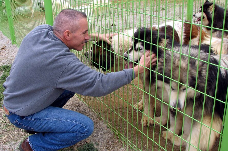 Master Sgt. Henry Cummings, 51st Maintenance Operations Squadron gives residents of the Korean Animal Protection Society's Boeum Shelter some tender-loving care during a visit to the facility April 13. (U.S. Army photo/Stacy A. Ouellette)