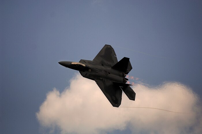 Major Paul Moga, F-22 Raptor Demonstration Team pilot performs a pass across air show center during the 2008 "Wings Over Charleston" Air Expo at Charleston AFB April 26. The biennial expo hosted by the 437th Airlift Wing allowed American's the opportunity to meet and greet Airmen and view civilian and military aircraft. (U.S. Air Fore photo/Senior Airman Nicholas Pilch)