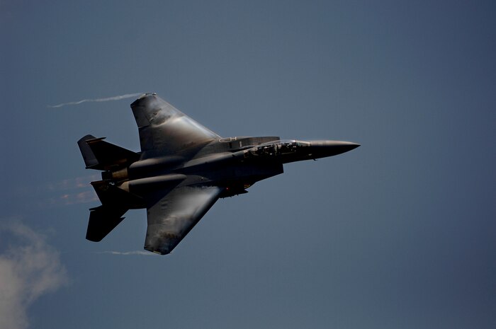 Major Paul Moga, F-22 Raptor Demonstration Team pilot performs a pass across air show center during the 2008 "Wings Over Charleston" Air Expo at Charleston AFB April 26. The biennial expo hosted by the 437th Airlift Wing allowed American's the opportunity to meet and greet Airmen and view civilian and military aircraft. (U.S. Air Fore photo/Senior Airman Nicholas Pilch)