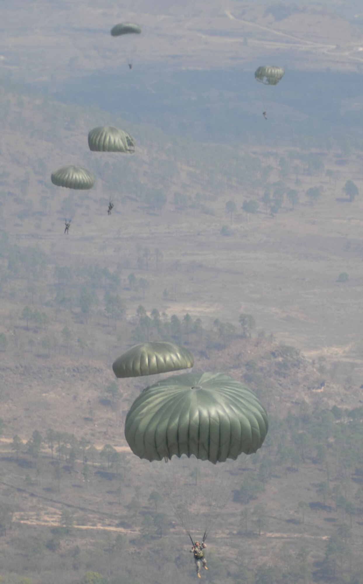 SOTO CANO AIR BASE, Honduras-- Paratroopers descend to the ground at Tamara Drop Zone, the site of this year's Iguana Voladora, the airborne exercise which is Joint Task Force-Bravo's largest joint and combined training event developed to strengthen regional cooperation and security between countries of the Americas. (U.S. Air Force photo by Tech. Sgt. William Farrow)