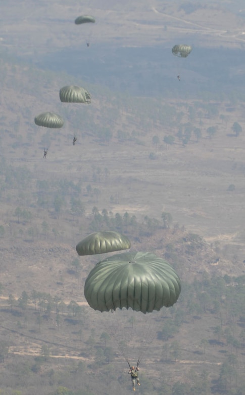 SOTO CANO AIR BASE, Honduras-- Paratroopers descend to the ground at Tamara Drop Zone, the site of this year's Iguana Voladora, the airborne exercise which is Joint Task Force-Bravo's largest joint and combined training event developed to strengthen regional cooperation and security between countries of the Americas. (U.S. Air Force photo by Tech. Sgt. William Farrow)
