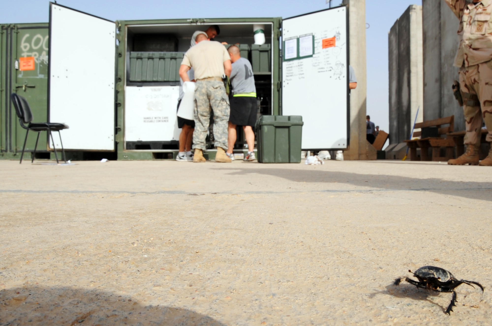 ALI BASE, Iraq - A beetle runs away after being discovered hiding in cargo headed to the United States. 407th Provost Marshal's office, military police Airmen inspected the  U.S. Army, 600th Transportation Company, cargo prior to them completing their tour in Iraq and heading home. The Airmen inspect all cargo and equipment for soil, insects and other forms of life that could be a threat to ecosystems, agriculture and land in the U.S. (U.S. Air Force photo / Staff Sgt. Nathan Gallahan)