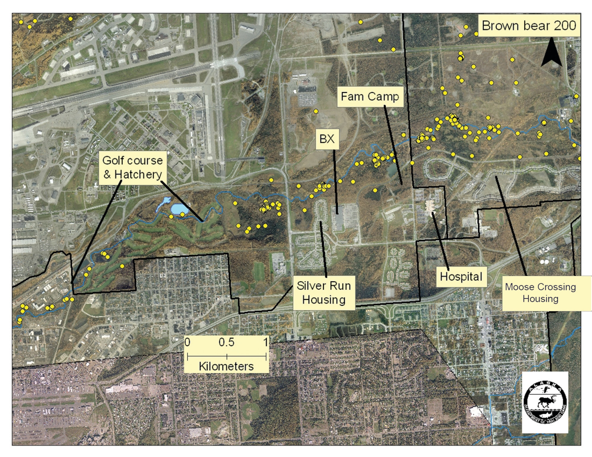Yellow circles on the map depict locations of one brown bear during the study. The study showed brown bears travel throughout most of the installation, but primary movement corridors are within the Ship Creek green belt, east of the airfield, along the Knik Arm bluff and along Sixmile Creek. Abundant foliage provides natural cover for these animals that routinely move undetected very near base facilities and housing. (Photo illustration provided by Alaska Department of Fish and Game)