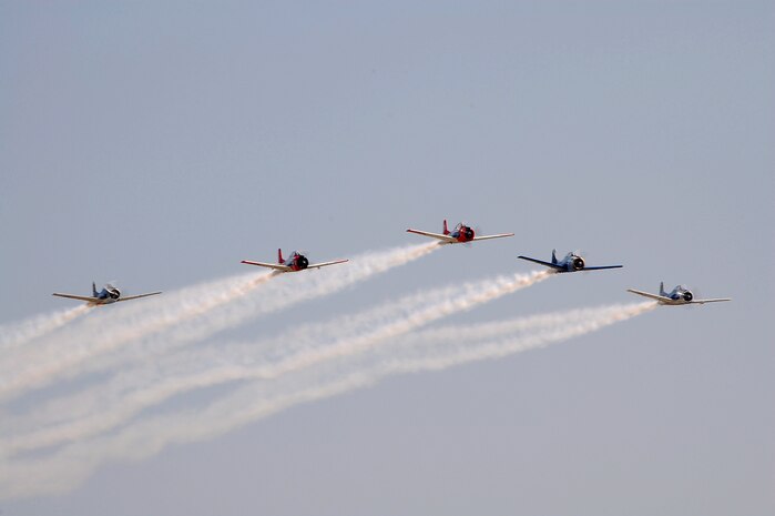 The T-28 Warbird Aerobatic Formation Demonstration Team, the Trojan Horseman, perform a pass across show center during the 2008 "Wings Over Charleston" Air Expo at Charleston AFB April 26. (U.S. Air Force photo/Cailynn Houlihan)