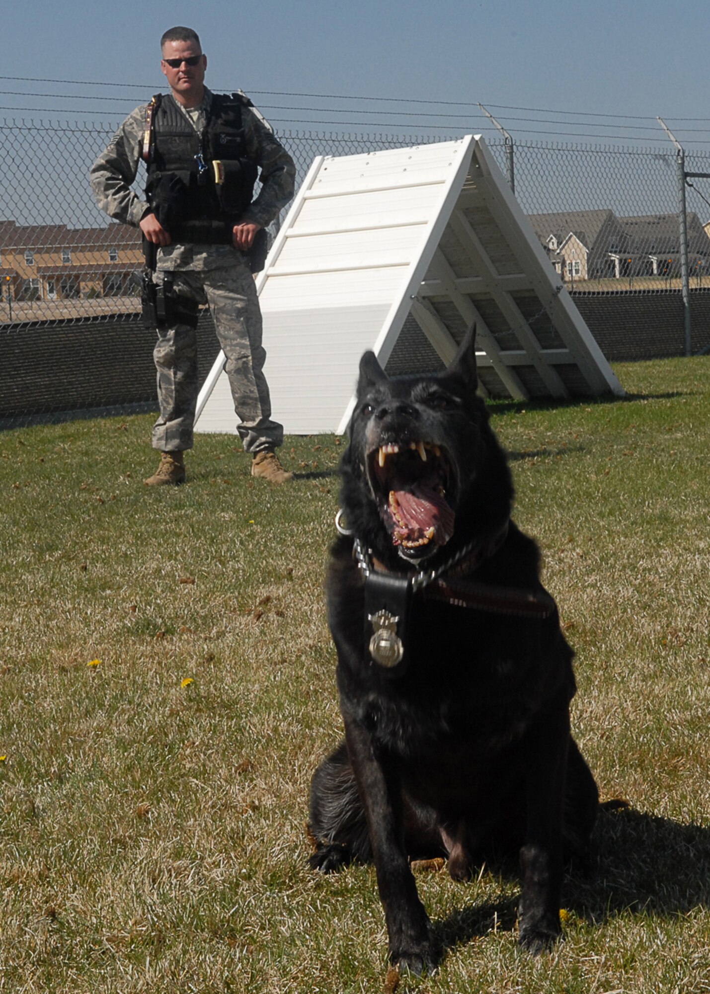 BUCKLEY AIR FORCE BASE, Colo. -- Arno and his partner, Staff Sgt. Ronald Harden, provide detection and patrol support to the Buckley community and local law enforcement agencies. When called upon, this military working dog team provides its expertise and abilities to the United States Secret Service and other federal agencies. 

Sergeant Harden and Arno have been partners for a year and a half and have done one tour together in Iraq. Arno is one of six military working dogs here. (U.S. Air Force photo by Airman First Class Randi Flaugh)