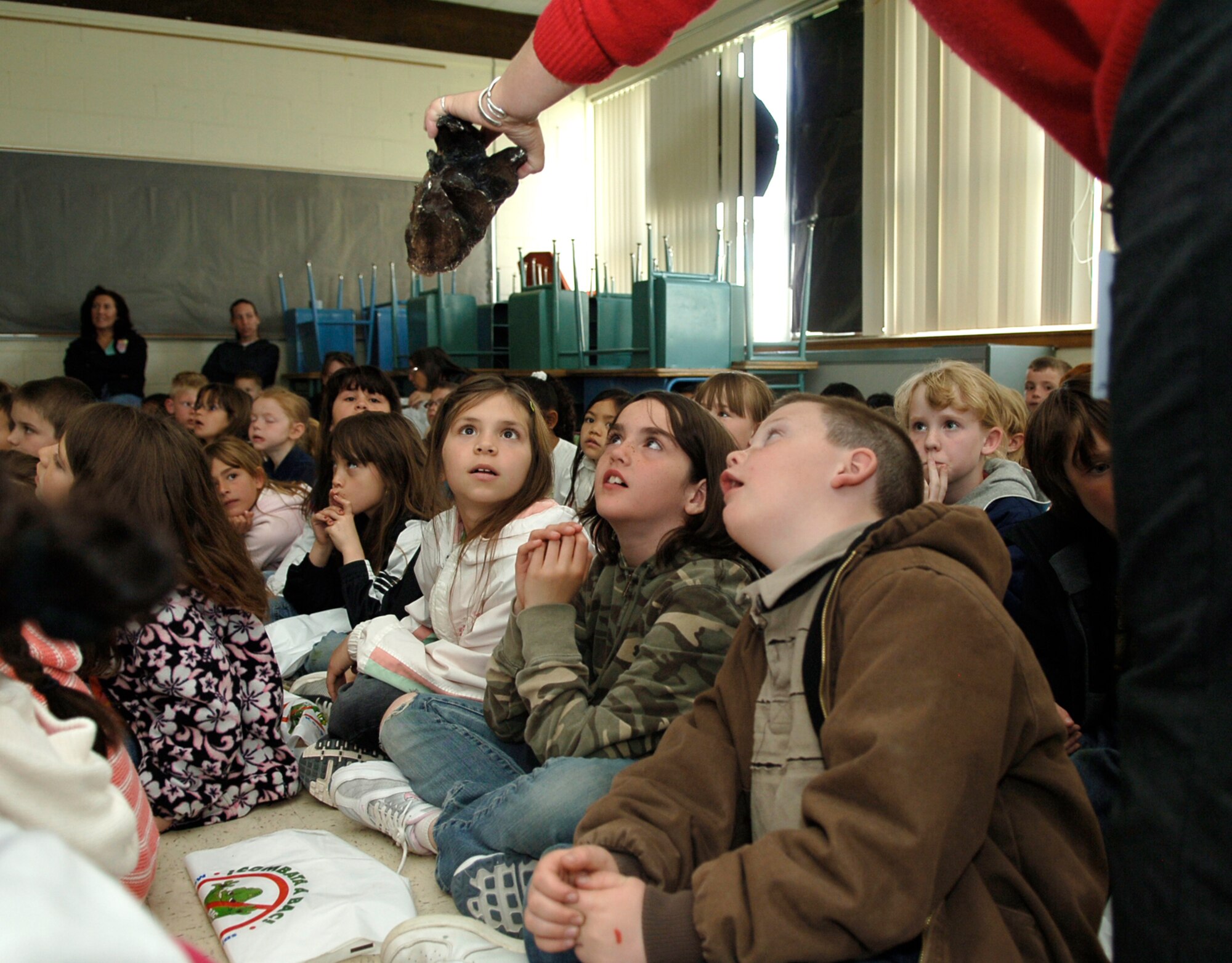 MOUNTAIN HOME AIR FORCE BASE, Idaho -- Mary Carpenter, Hagerman Fossil Beds paleontologist, shows second graders from the Base Primary School a fossil replica of an American Mastodon’s tooth during Science Day at Stephensen Middle School April 25. The Mountain Home Air Force Base Parent Teacher Partnership hosted Science Day to introduce students from kindergarten through fourth grade to the world of science. (U.S. Air Force photo/Airman 1st Class Samantha S. Crane)