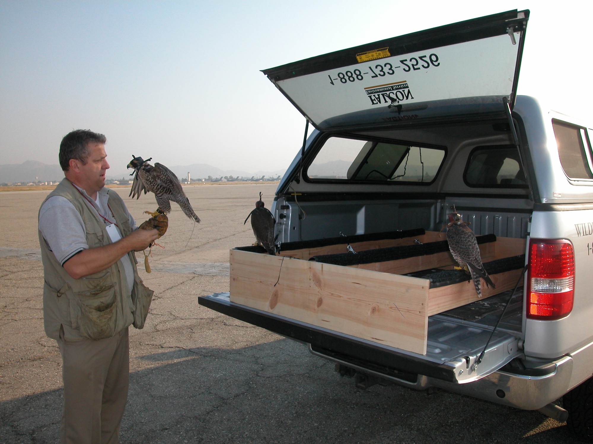 Stuart Rossell gets his falcons ready for work to scare off the birds that take flight over
March airfield. (U.S.Air Force photo by Staff. Sgt. Joe Davidson, 452 AMW/PA)