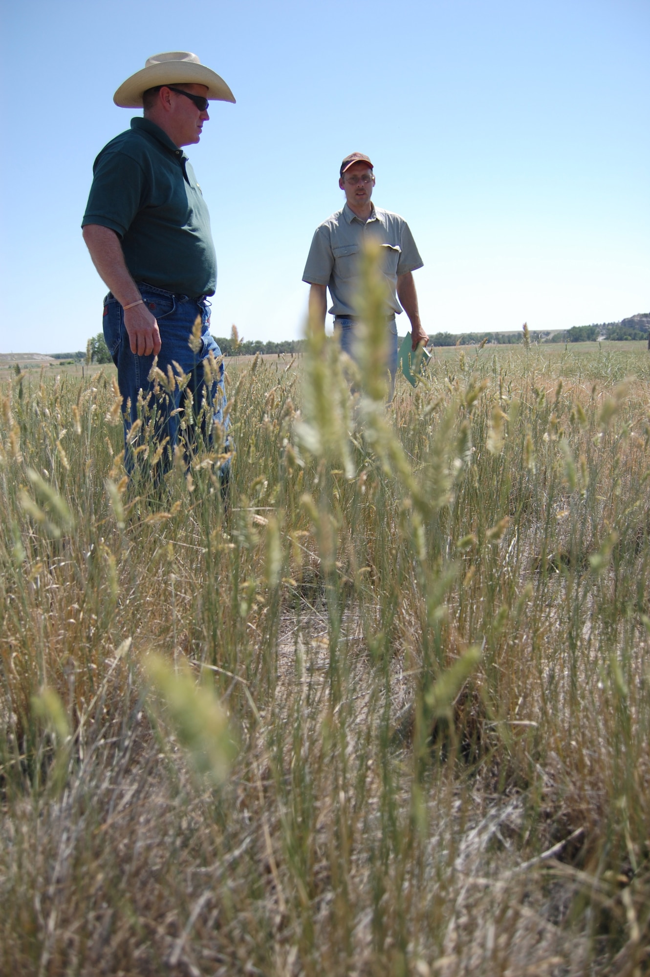 Tim Cary, research agronomist for the U.S. Army Corps of Engineer’s Cold Regions Research and Engineering Laboratory, and Dustin Kafka, Wyoming coordinator for the Army’s Integrated Training Area Management program, identify some of the grasses that successfully grew and prevented the growth of the invasive weeds at the Camp Guernsey Joint Training Center July 15 (Photo by Officer Candidate Christian Venhuizen).
