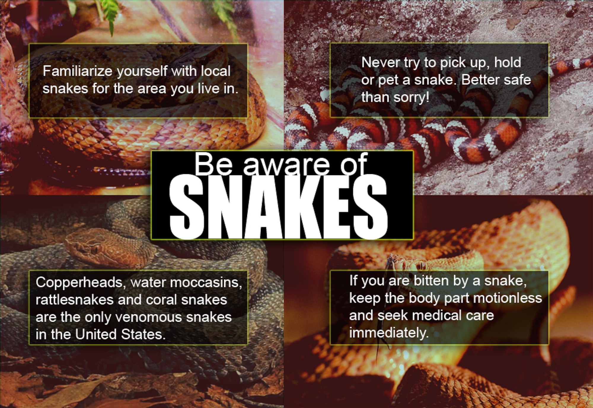 MOODY AIR FORCE BASE, Ga. -- 23rd Wing Airmen are reminded to be aware of snakes during the 101 critical days of summer. (U.S. Air Force photo illustration by Airman 1st Class Brittany Barker)