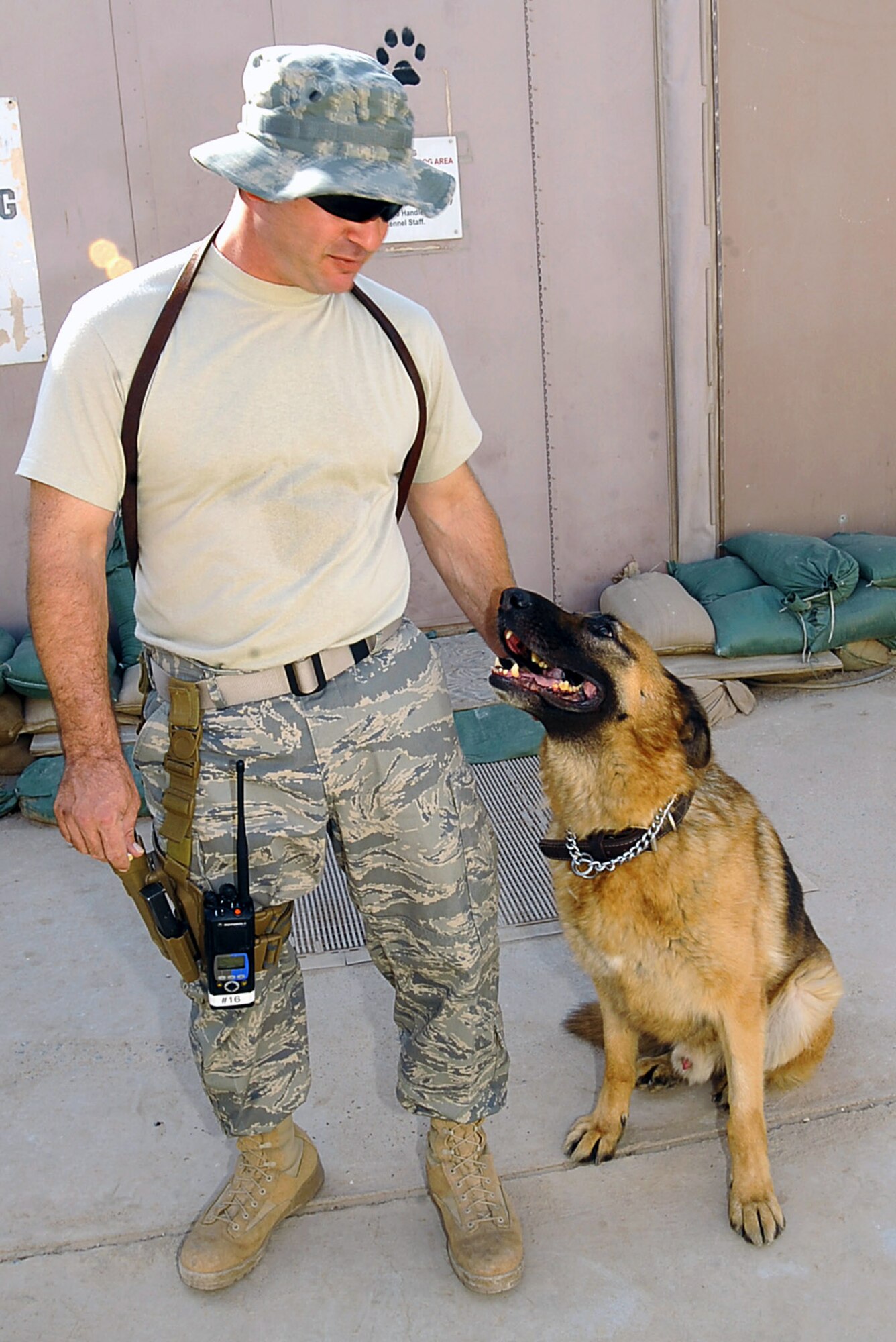 Goro looks up to Staff Sgt. Sean Neisen during a break in training July 7 at Ali Base, Iraq. Goro, an 8-year-old military working dog, and Sergeant Neisen deployed to the 407th Air Expeditionary Group's Provost Marshal Office from the 435th Security Forces Squadron at Ramstein Air Base, Germany. The German shepherd died of natural causes July 28. (U.S. Air Force photo/Tech. Sgt. Sabrina Johnson) 
