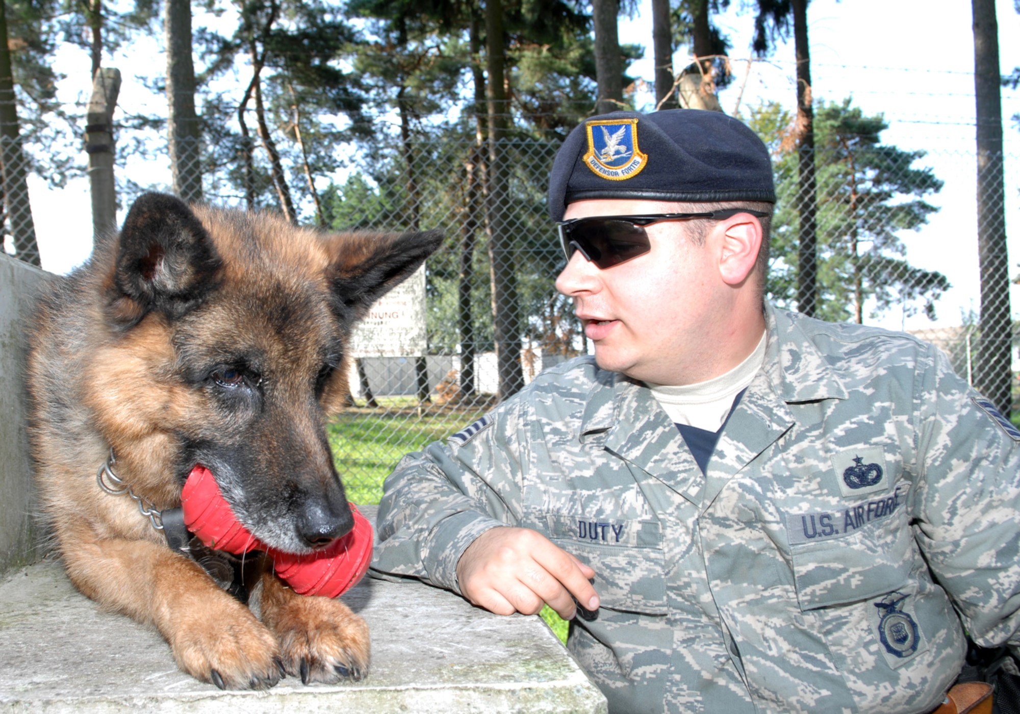 SPANGDAHLEM AIR BASE, Germany — Staff Sgt. David Duty, 52nd Security Forces Squadron, looks on as his dog Ricky chews on one of his favorite toys July 31, 2008.  Ricky is a German Shepherd certified in bomb detection and patrol and is getting adopted by Sergeant Duty following the animal’s retirement.  (U.S. Air Force photo by Staff Sgt. Logan Tuttle)