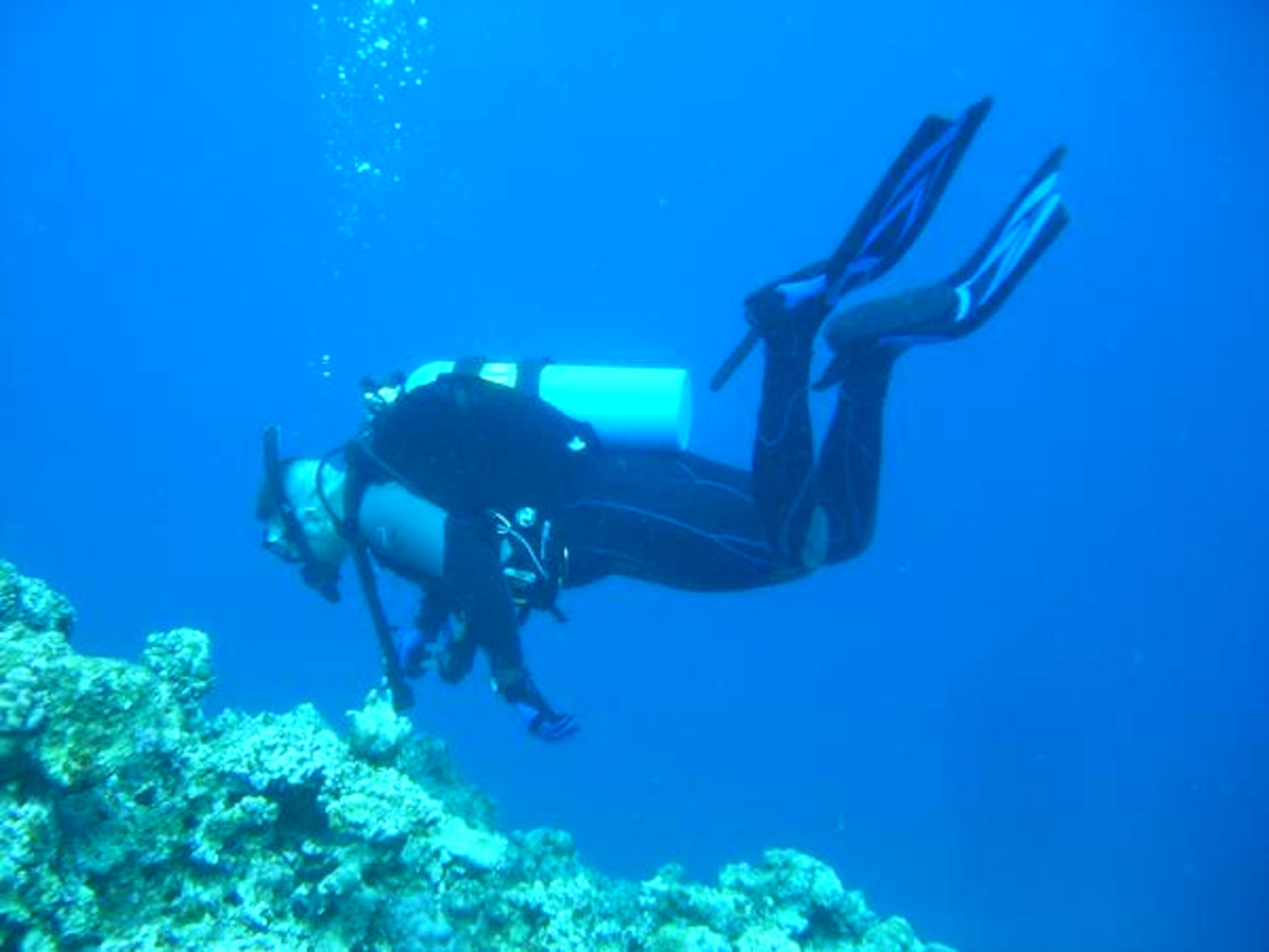 Senior Airman Jeremy East, 18th Communications Squadron, explores the beauty of the underwater world during a recent diving trip here. Dive instructors from the Kadena Marina Dive Shop want people to be aware of the variety of dangerous marine life in local waters and mindful of the delicate environment in the ocean. (Courtesy photo)