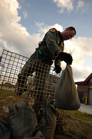 Master Sgt. Dave Becker moves sandbags for facility hardening during the Headquarters Air Mobility Command Operational Readiness Inspection at a simulated air base in East Asia Aug. 5. Headquarters inspectors are evaluating the 437th and 315th Airlift Wings' capability to generate aircraft, deploy Airmen and cargo and employ from a forward location in support of global military operations. Sergeant Becker is a loadmaster with the 16th Airlift Squadron. (U.S. Air Force photo/Staff Sgt. James Harper Jr.)