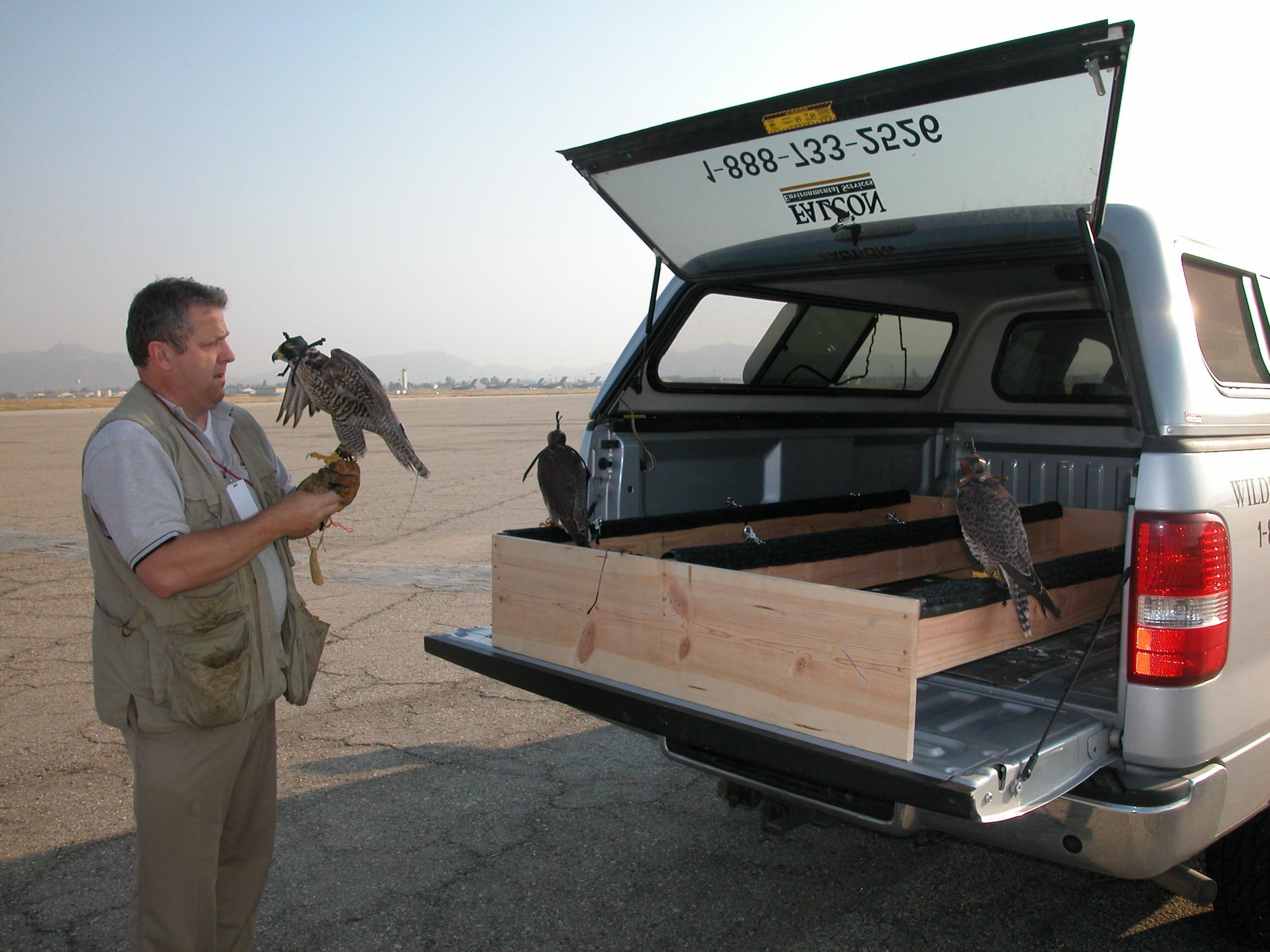 Stuart Rossell gets his falcons ready for work to scare off the birds that take flight over the  March Air Reserve Base, Calif., airfield. (U.S. Air Force photo/Staff. Sgt. Joe Davidson) 