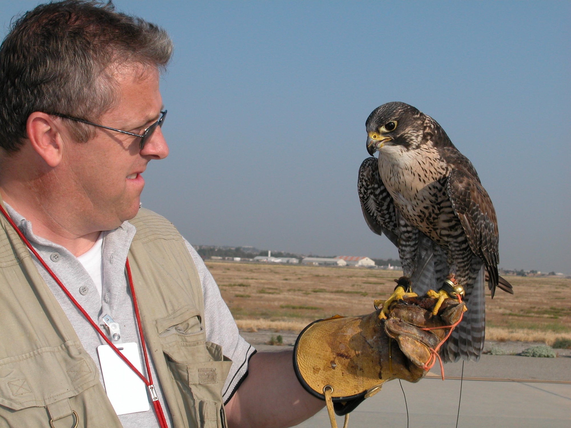 Stuart Rossell prepares one of his falcons, "Mugen," for a routine flight over the airfield at March Air Reserve Base, Calif., to chase birds July 25, 2007. (U.S. Air Force photo/Staff. Sgt. Joe Davidson) 
