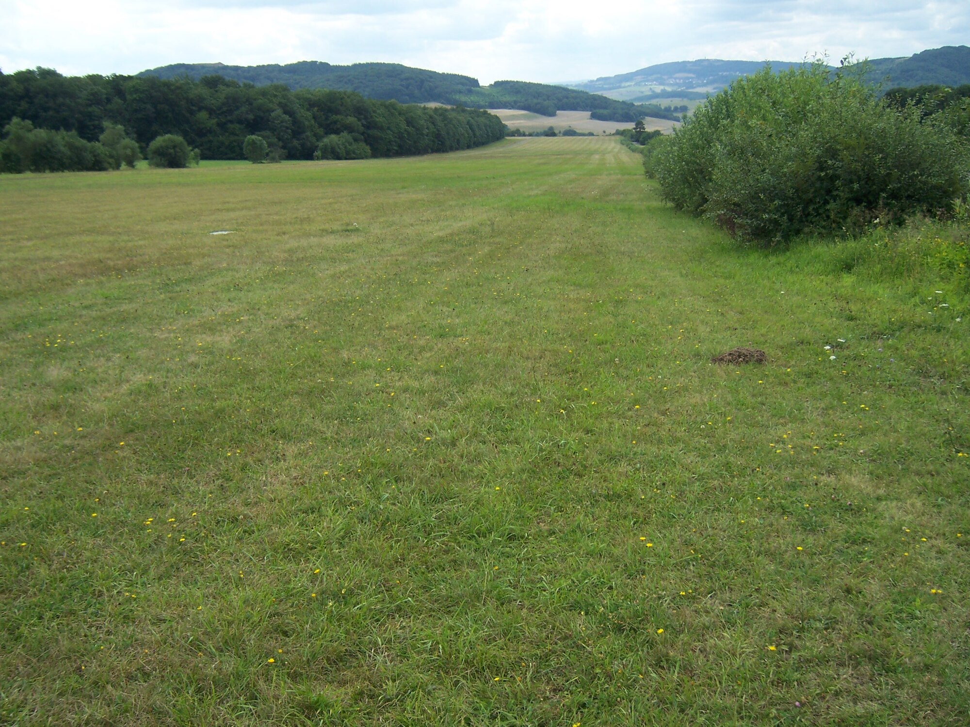 The runway at Essweiler Glider Port in Essweiler, Germany. (U.S. Air Force photo by Capt. Erin Dorrance)(Released)