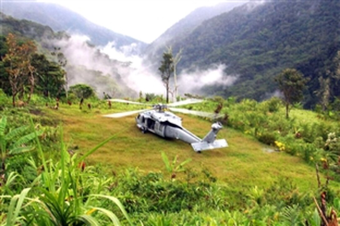A U.S. Navy  Seahawk helicopter lands near Alola Village in the Owen Stanley Mountain Range in Papua New Guinea to evacuate Australian hiker Debra Paver, Aug. 8, 2008. Paver became ill and was transported to the Military Sealift Command hospital ship USNS Mercy for treatment. 