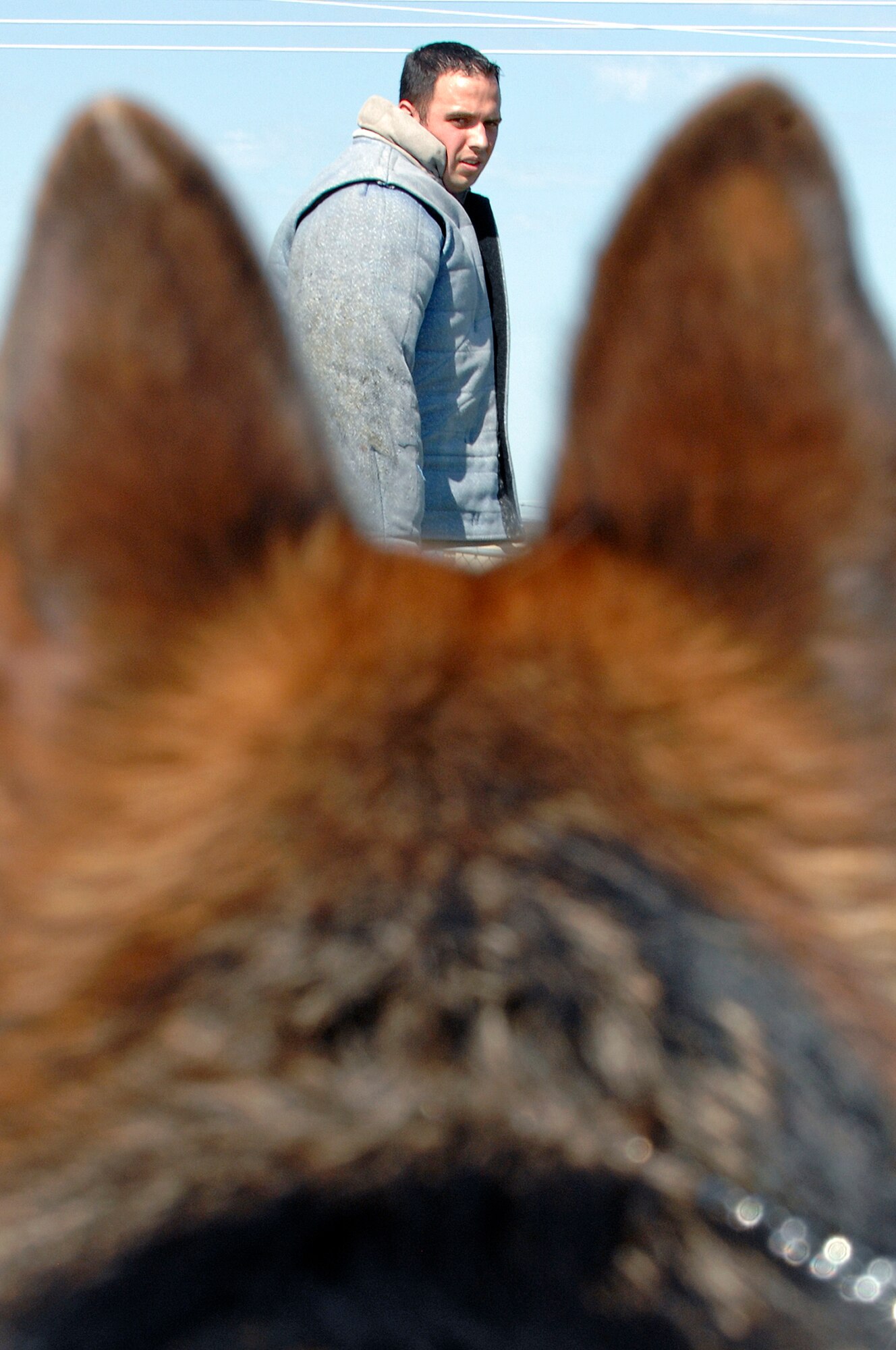 - ELLSWORTH AIR FORCE BASE, S.D. -- Rudy, military working dog, waits for the command to intercept Senior Airman Nathaniel Johnson, 28th Security Forces Squadron military working dog handler, during controlled aggression training, Aug. 13. Military working dogs are trained to respond to hostile threats to themselves and their partner. (U.S. Air Force photo/Senior Airman Marc I. Lane)