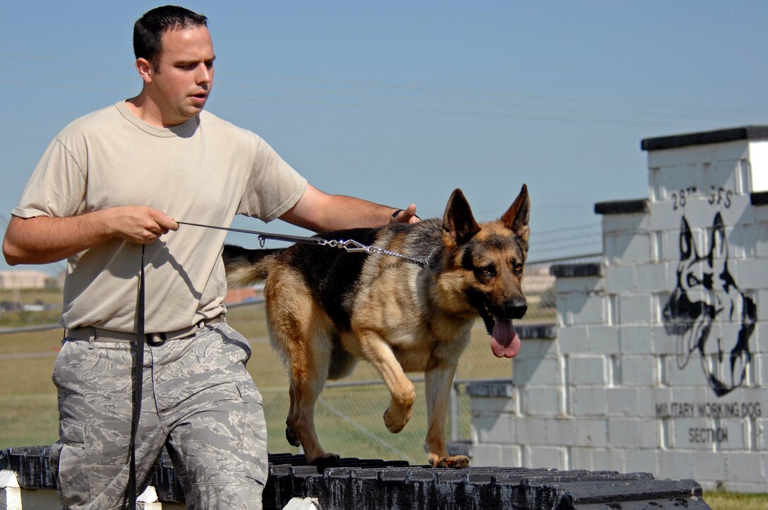 - ELLSWORTH AIR FORCE BASE, S.D. -- Senior Airman Nathaniel Johnson, 28th Security Forces Squadron military working dog handler, leads "Rex" through an obedience and patrol training course, Aug. 13. The course which is a no-blouse, no-hat area is designed to build the dog’s confidence and train for various environments and situations. (U.S. Air Force photo/Senior Airman Marc I. Lane)