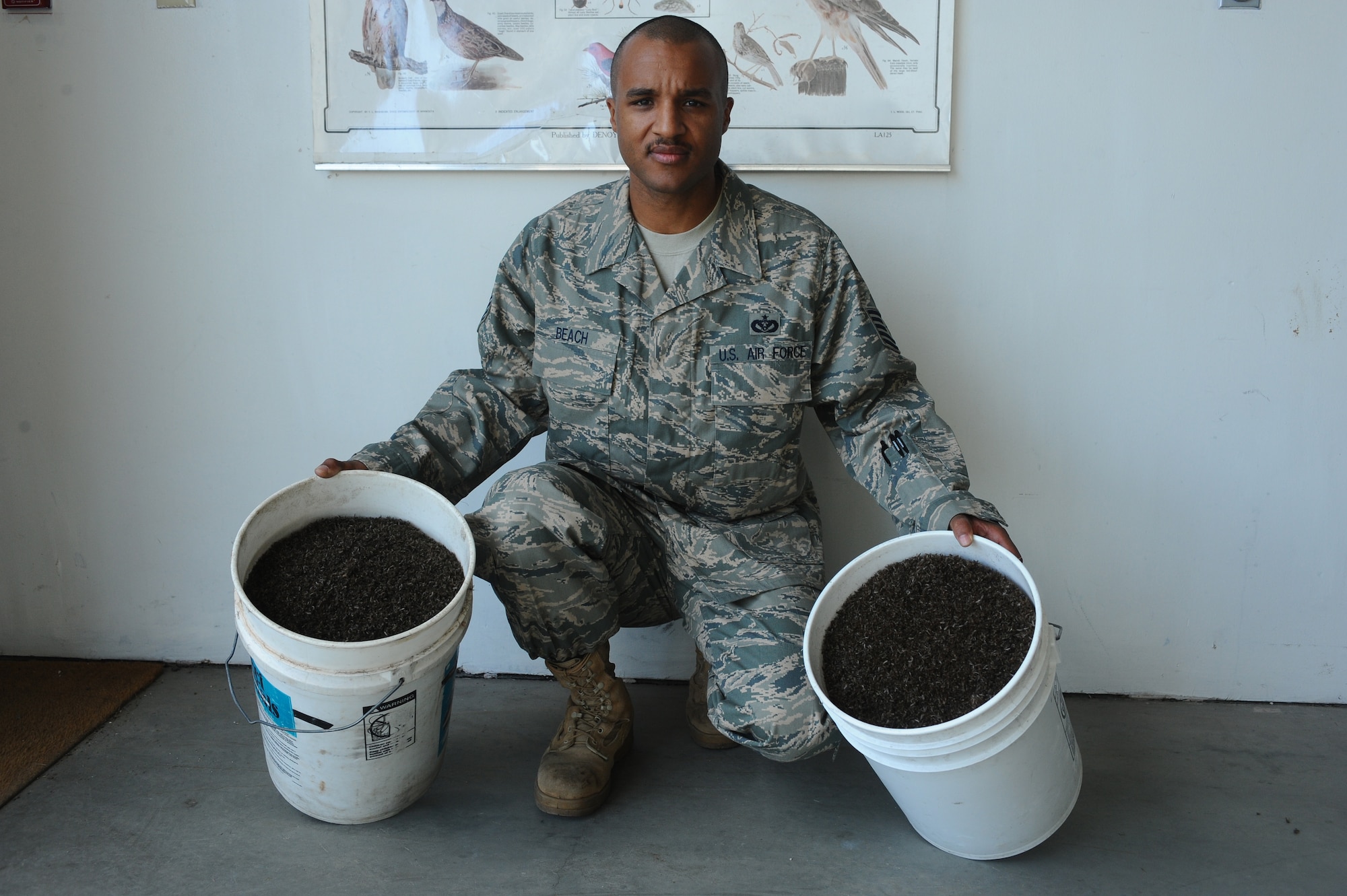 Tech. Sgt. Christopher Beach displays two buckets filled with mosquitoes used for educational purposes at local schools Aug 14, 2008 at Eielson Air Force Base, Alaska. Sergeant Beach has 20 strategically placed mosquito magnets around base to capture, identify, count and send off mosquitoes to be tested for diseases, last year he caught over three million mosquitoes. He is assigned to the 354th Civil Engineer Squadron entomology shop.  (U.S. Air Force photo by Airman 1st Class Jonathan Snyder) (Released)