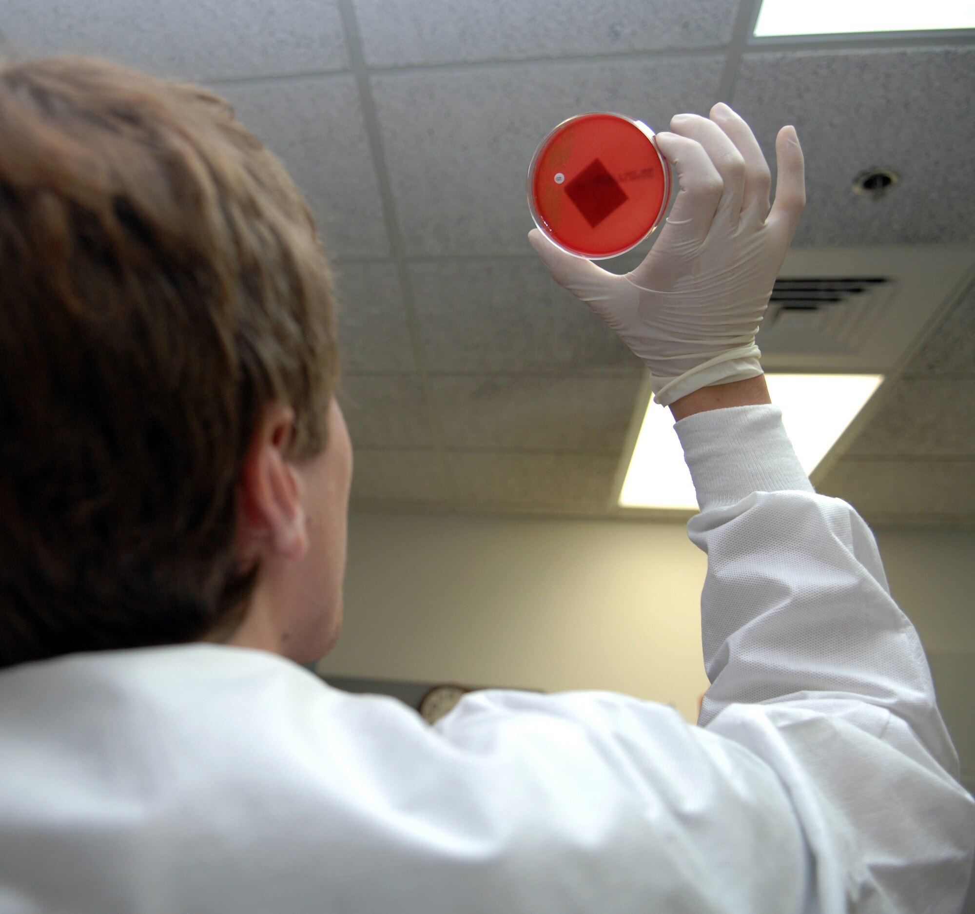 Alex Vraa, son of Lt. Col. Keith Vraa, 49th Fighter Wing,  volunteers in the  laboratory at the 49th Medical Group Clinic at Holloman Air Force Base, N.M., August 14. He holds a throat culture to the light to check for streptococcus bacteria, which causes strep throat. (U.S. Air Force photo/Airman Sondra M. Wieseler)