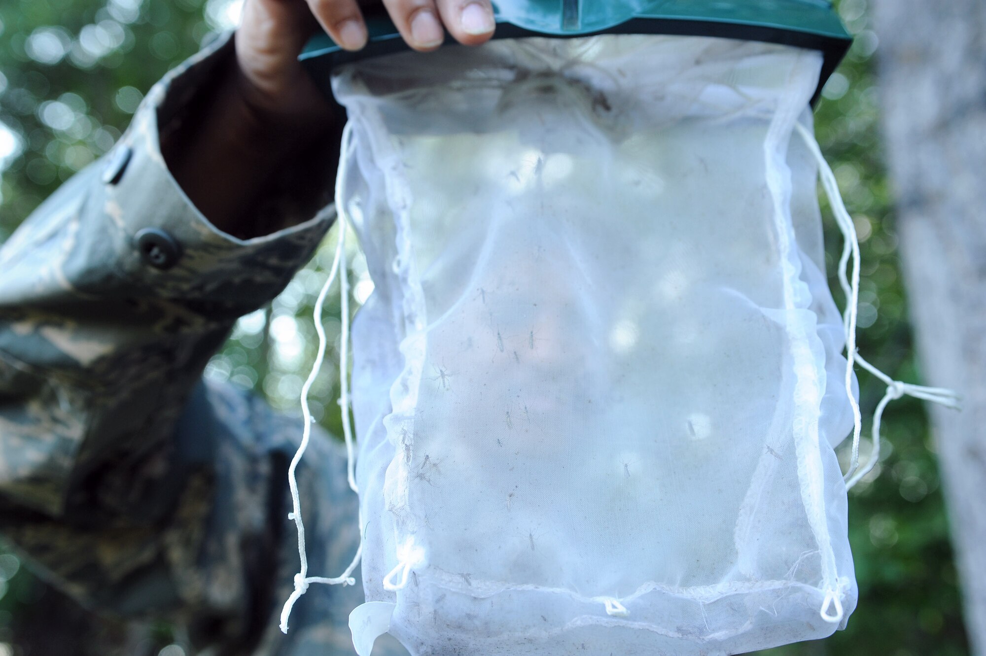 Tech. Sgt. Christopher Beach holds up a trap filled with mosuitoes caught in the base housing area Aug. 14. Sergeant Beach has 20 strategically-placed mosquito magnets around the base to capture, identify, count and send mosquitoes to be tested for diseases. Last year, he caught more than 3 million mosquitoes. He is assigned to the 354th Civil Engineer Squadron entomology shop. (U.S. Air Force photo/Airman 1st Class Jonathan Snyder) 
