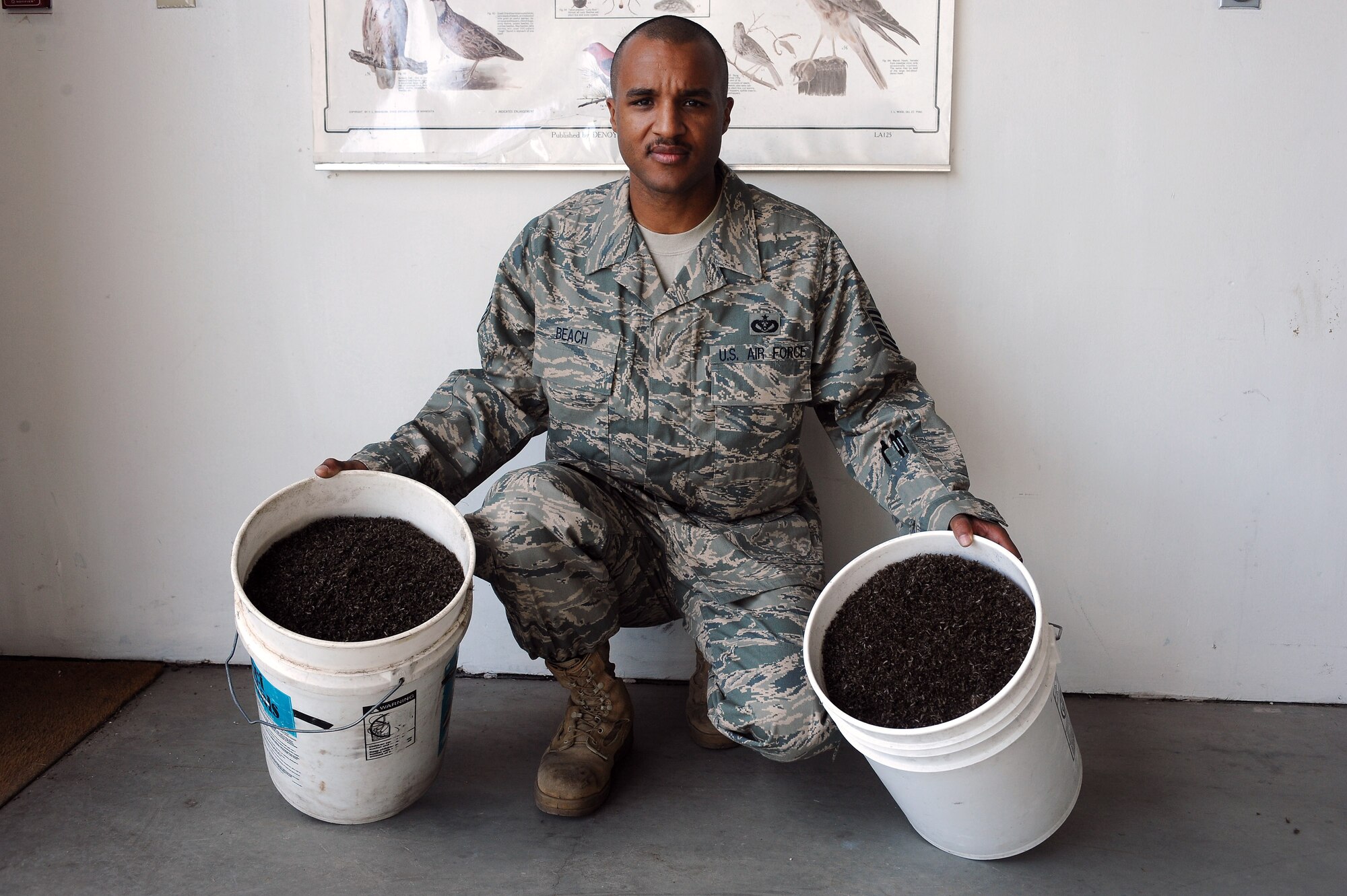 Tech. Sgt. Christopher Beach displays two buckets filled with mosquitoes used for educational purposes at local schools Aug. 14. Sergeant Beach has 20 strategically-placed mosquito magnets around the base to capture, identify, count and send mosquitoes to be tested for diseases. Last year, he caught more than 3 million mosquitoes. He is assigned to the 354th Civil Engineer Squadron entomology shop. (U.S. Air Force photo/Airman 1st Class Jonathan Snyder)