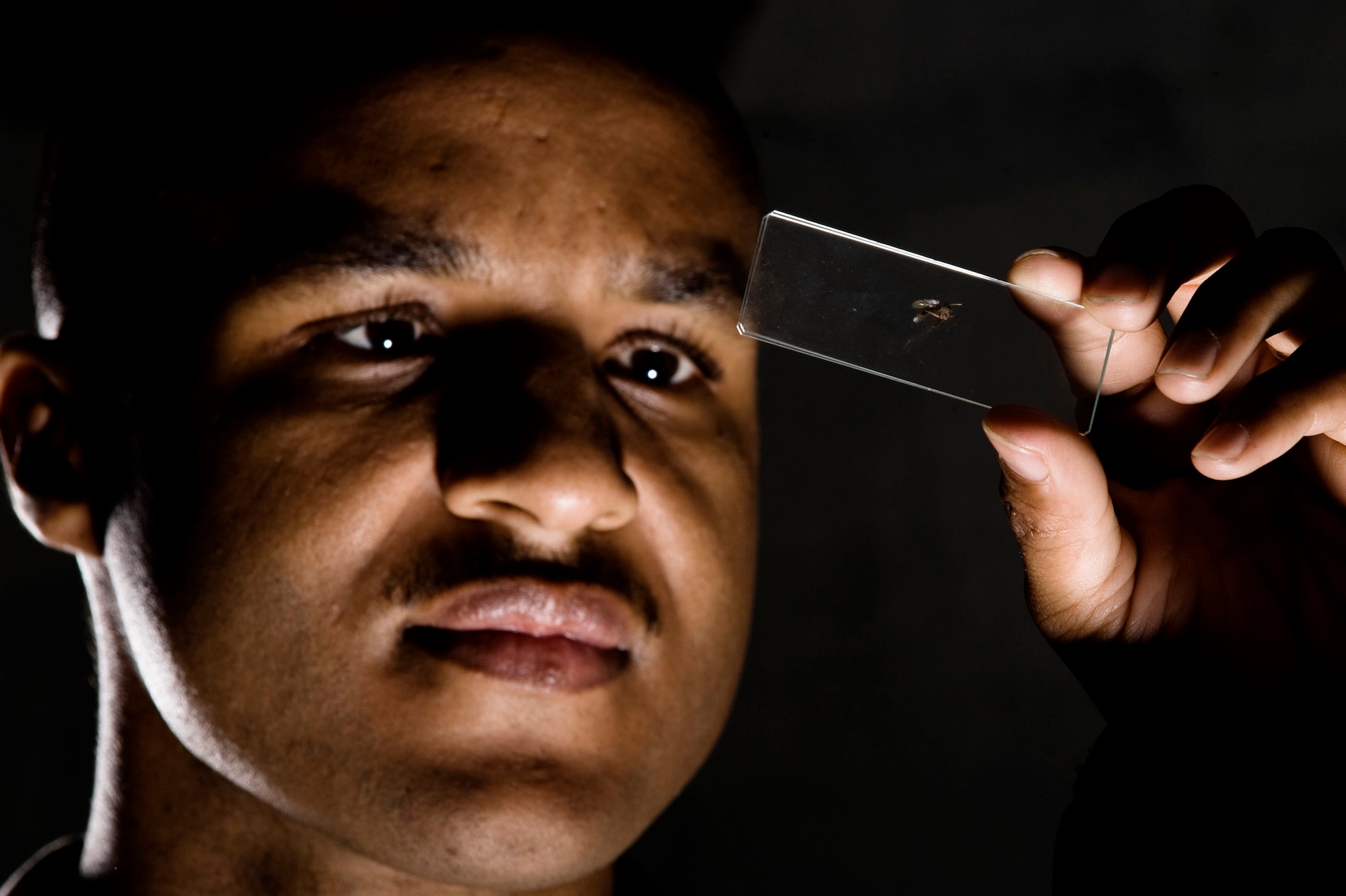 Tech. Sgt. Christopher Beach holds up a slide containing a mosquito prior to identifying it under a microscope Aug. 14. Sergeant Beach has 20 strategically-placed mosquito magnets around the base to capture, identify, count and send mosquitoes to be tested for diseases. Last year, he caught more than 3 million mosquitoes. He is assigned to the 354th Civil Engineer Squadron entomology shop. (U.S. Air Force photo/Airman 1st Class Jonathan Snyder) 
