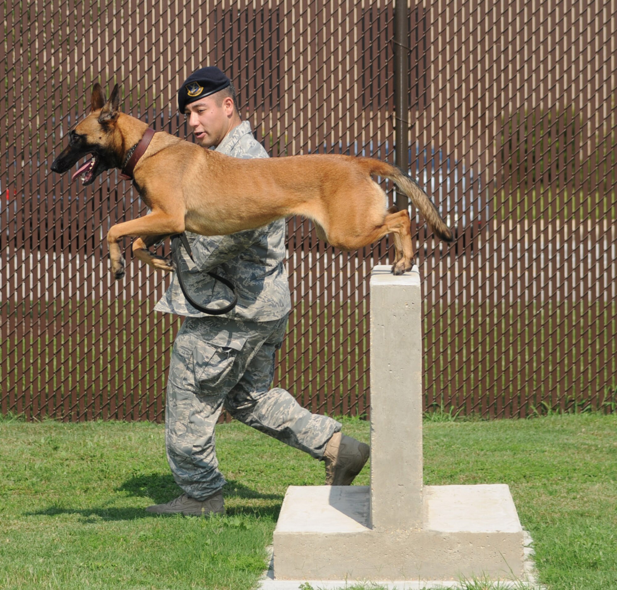Staff Sgt. Benjamin Collins, a military working dog handler in the 81st Security Forces Squadron, puts Densy through a workout on the obstacle course as part of her training to prepare for situations they may encounter on deployment or on patrol.  (U.S. Air Force photo by Kemberly Groue)