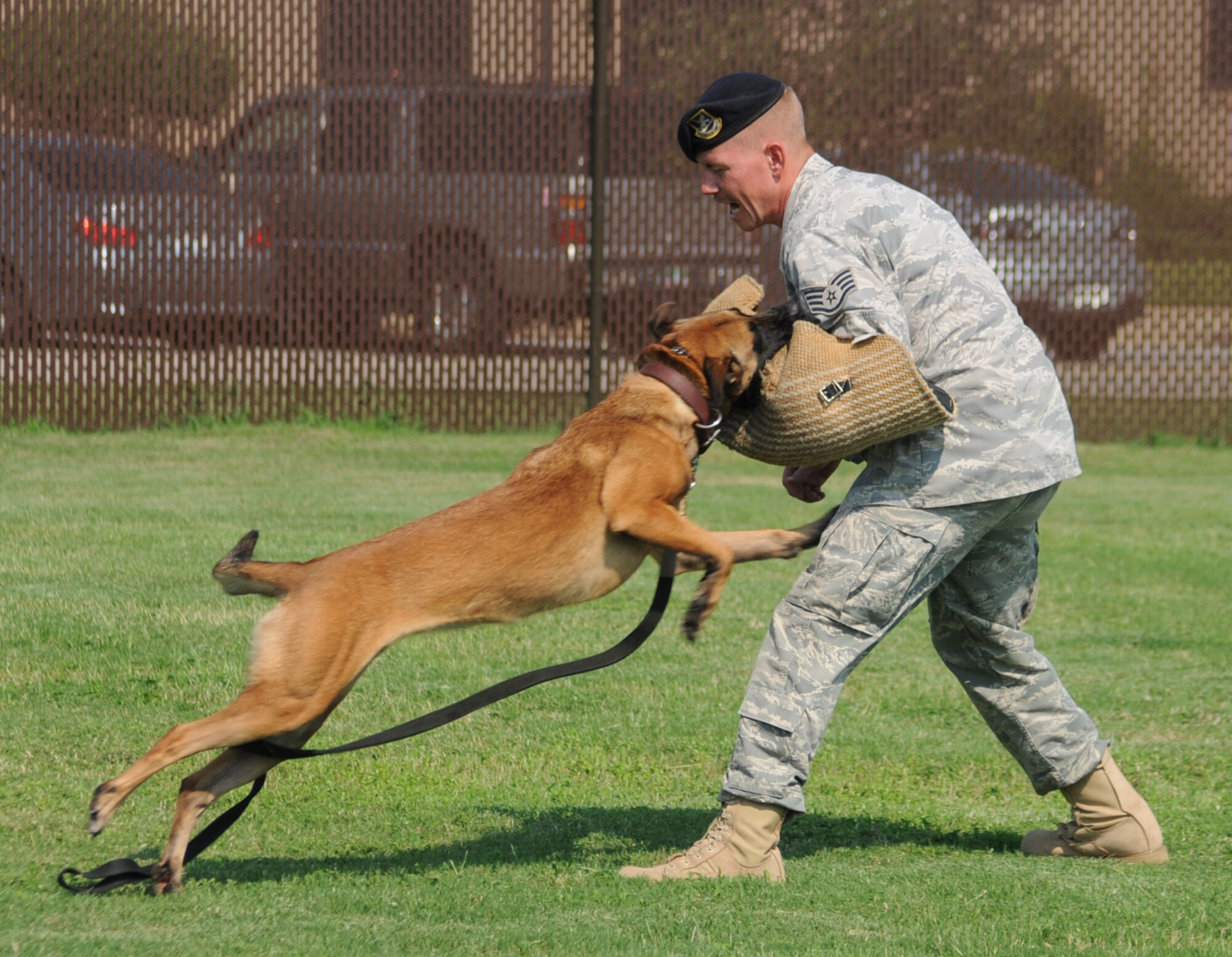 Left, Densy lunges at Sergeant McQuagge, whose arm is encased in a protective wrap during attack training.  (U.S. Air Force photo by Kemberly Groue)