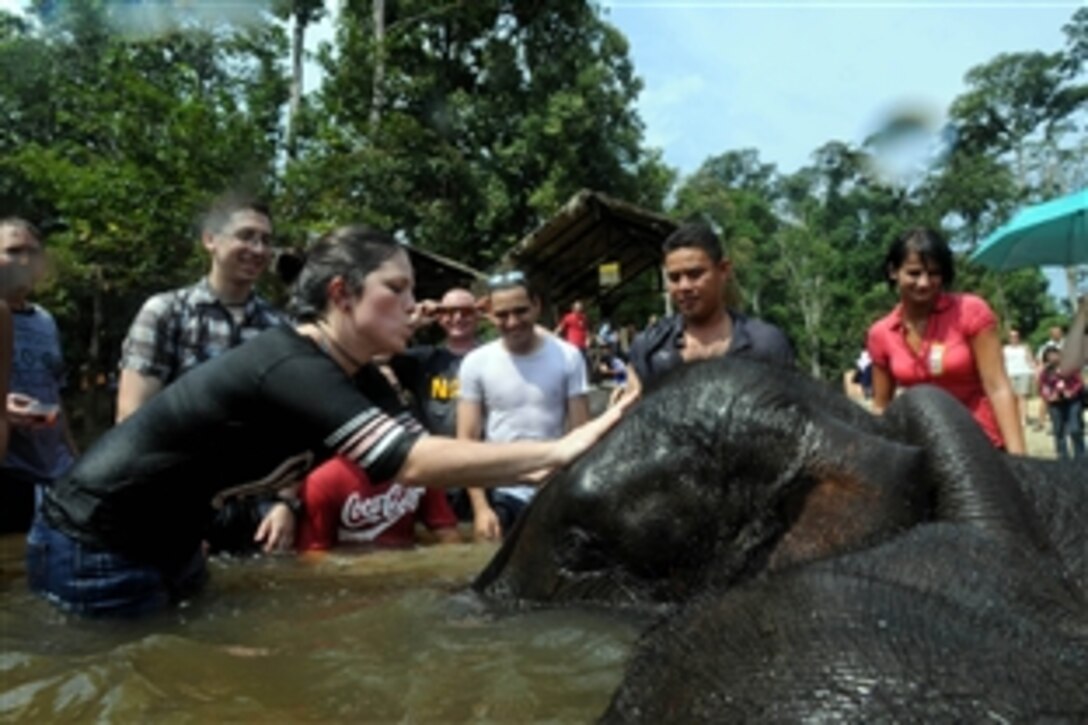 U.S. Navy Petty Officer 3rd Class Neenah Jones, along with other sailors and tourists, washes a young Asian elephant's head at the Kuala Gandha Elephant Conservation Center,  Kuala Gandah, Malaysia, Aug. 20, 2008. The Ronald Reagan Carrier Strike Group is in Port Klang, Malaysia, for a routine port call and on a scheduled deployment in the U.S.7th Fleet area of responsibility operating in the western Pacific and Indian oceans.