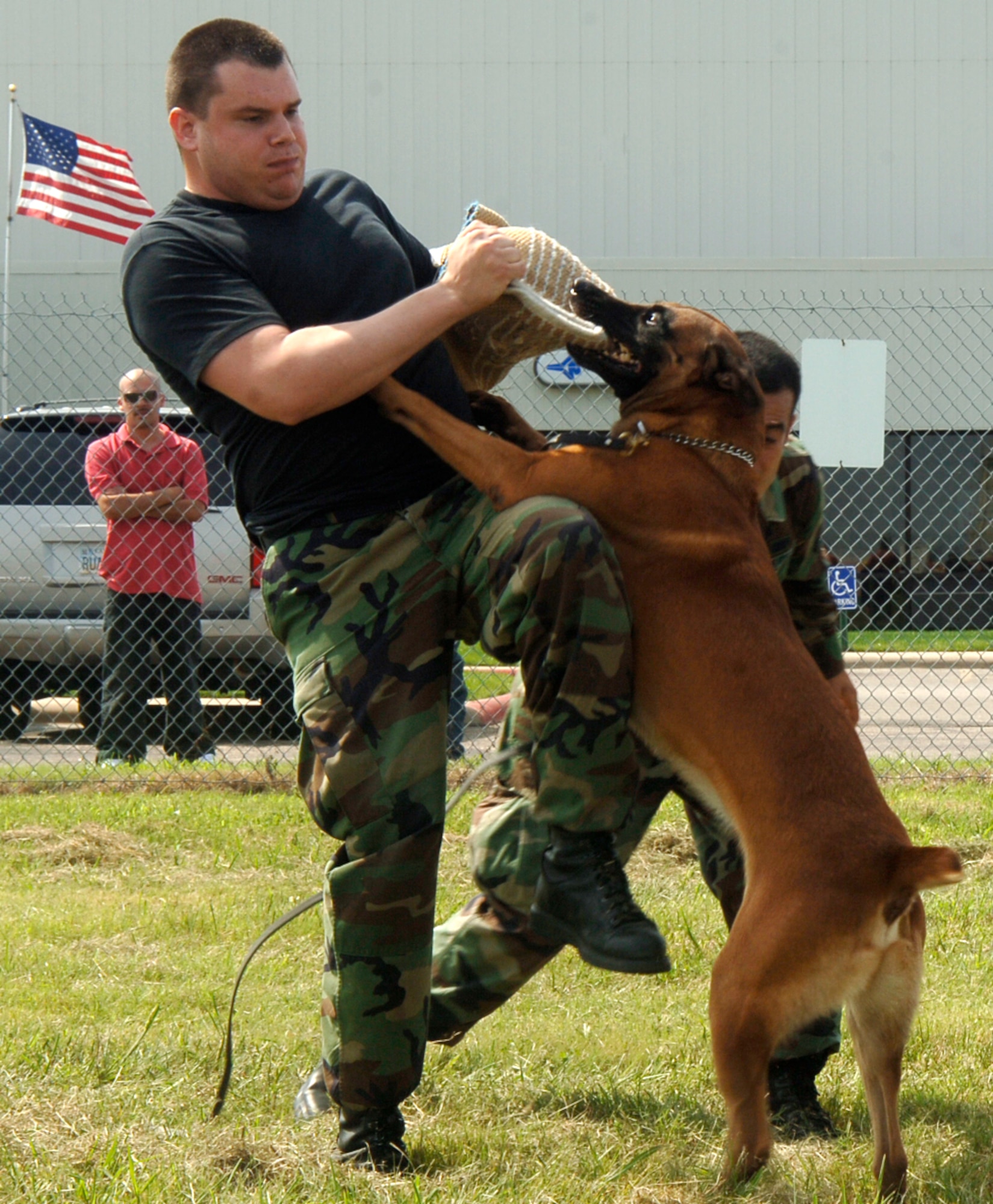 MCCONNELL AIR FORCE BASE, Kan. -- Staff Sgt. Matthew Ellgen and Senior Airman Juan Garcia, 22nd Security Forces Squadron, wrestle with Bram, military working dog, at the Colonel James Jabara Airport during the Wichita Flight Festival, Aug. 23. The military working dog demonstration team educates the surrounding community on their ability to use K-9s to support law enforcement on the local base and in a deployed contingency. (Photo by Senior Airman Laura Suttles)