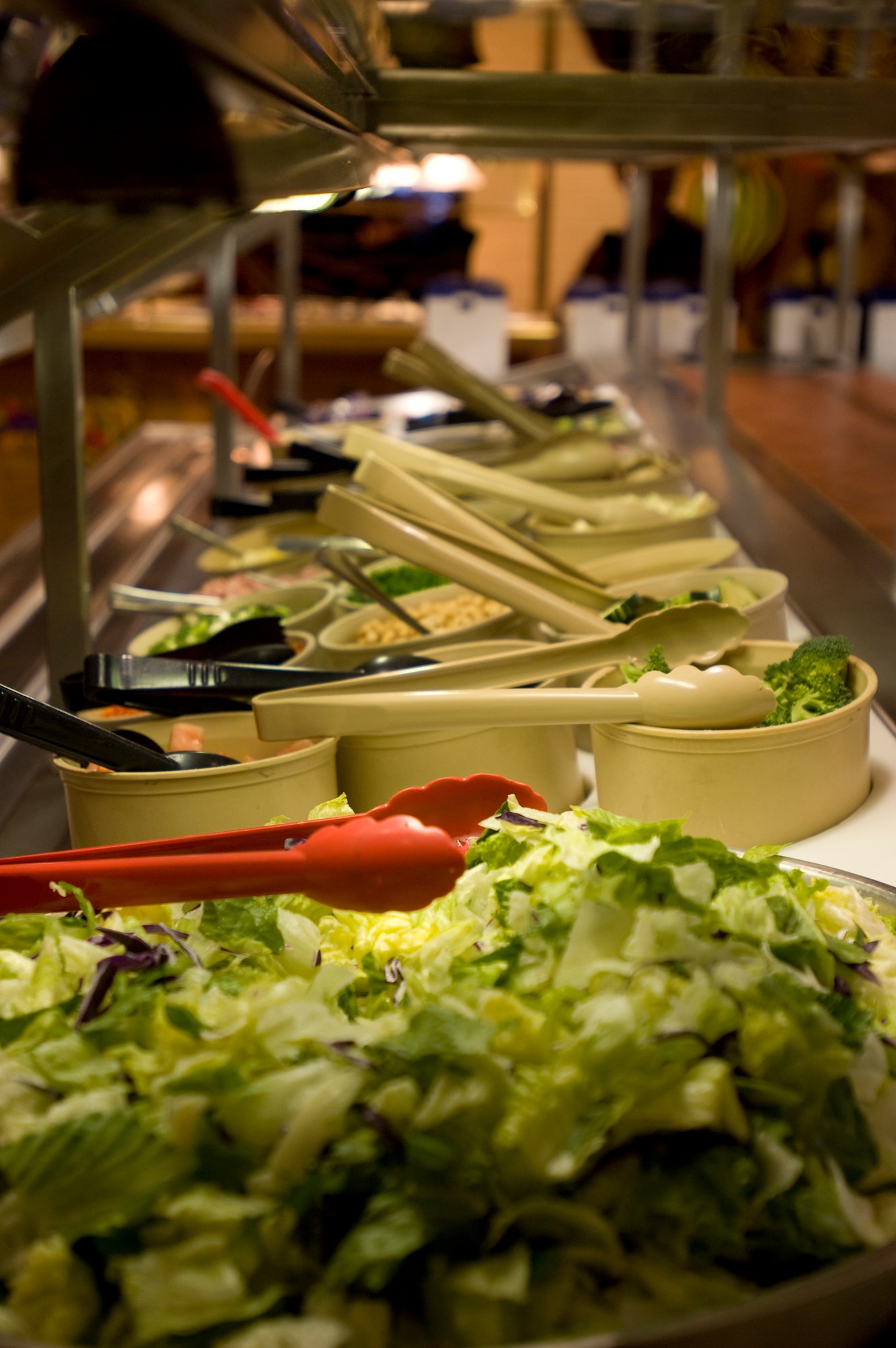 ELMENDORF AIR FORCE BASE, Alaska -- The salad line sits at the Iditarod Dining Facility Nov. 27. (U.S. Air Force photo/Airman 1st Class David Carbajal)