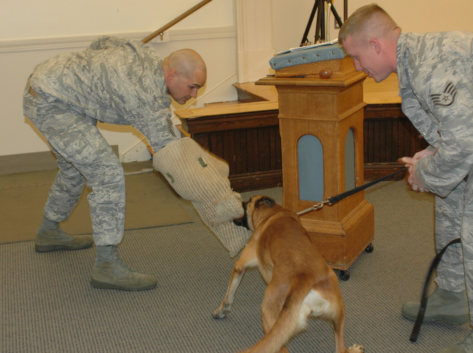 HANSCOM AIR FORCE BASE, Mass. - Tech. Sgt. Tim Brady and Staff Sgt. Bill Bodwell, 66th Security Forces Squadron Canine Unit, and Military Working Dog Danita offer a demonstration for members of the Old Concord Chapter of the Daughters of the American Revolution, Nov. 24, in Concord, Mass.  The demonstration was part of a briefing regarding the valuable role military working dogs play in the Global War on Terror.  (U.S. Air Force photo by Frank Landry)
