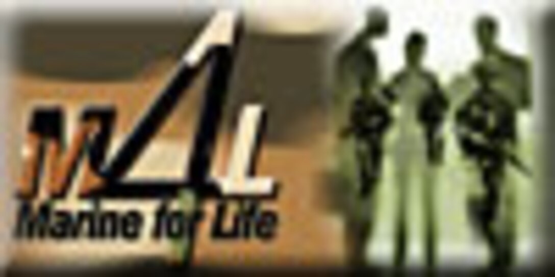 Children toys were collected during the 2008 campaign of the Marine Corps' Toys for Tots Program. The 2009 campaign is scheduled to end Dec. 19.